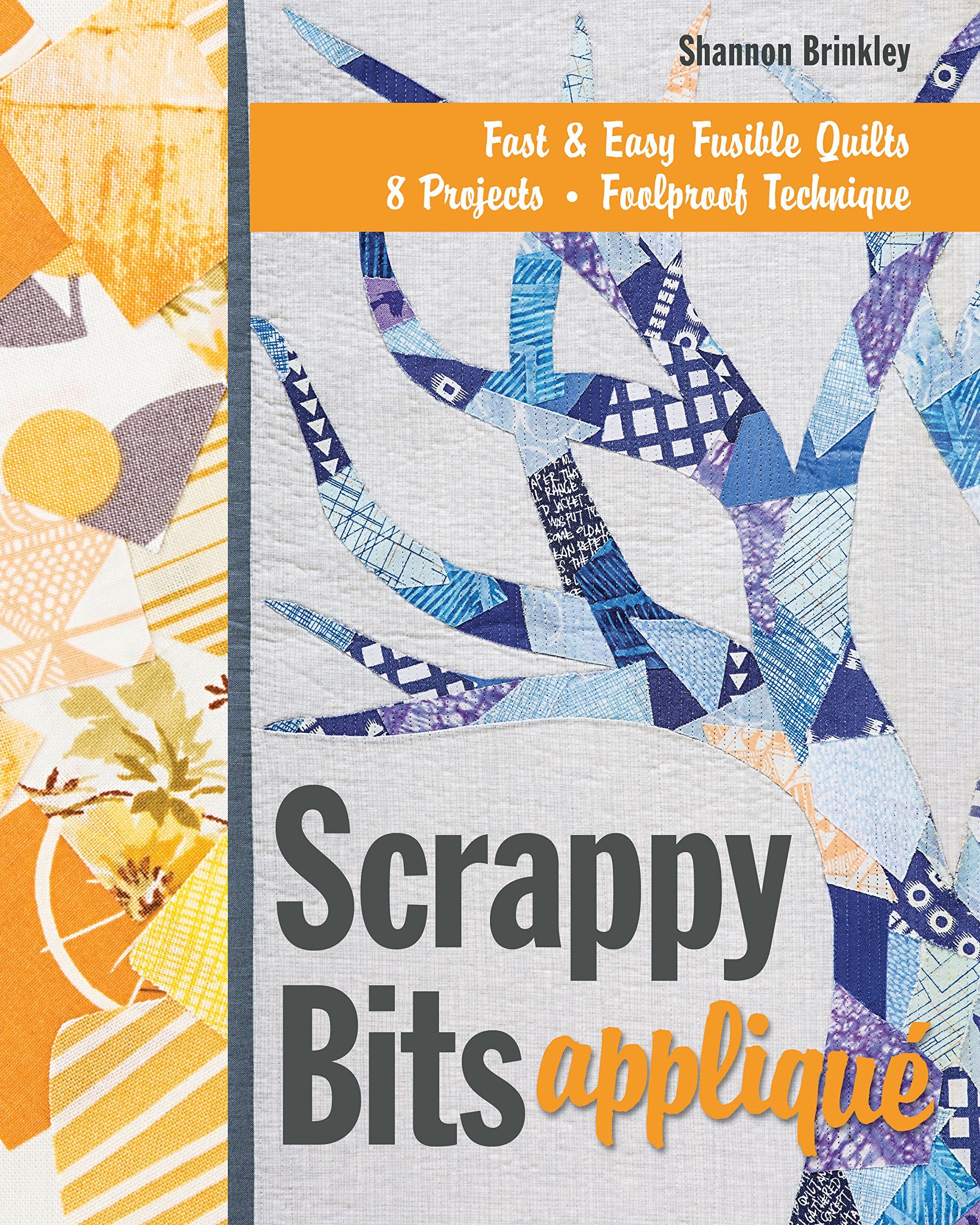 Scrappy Bits Appliqu: Fast & Easy Fusible Quilts  8 Projects  Foolproof Technique,Used