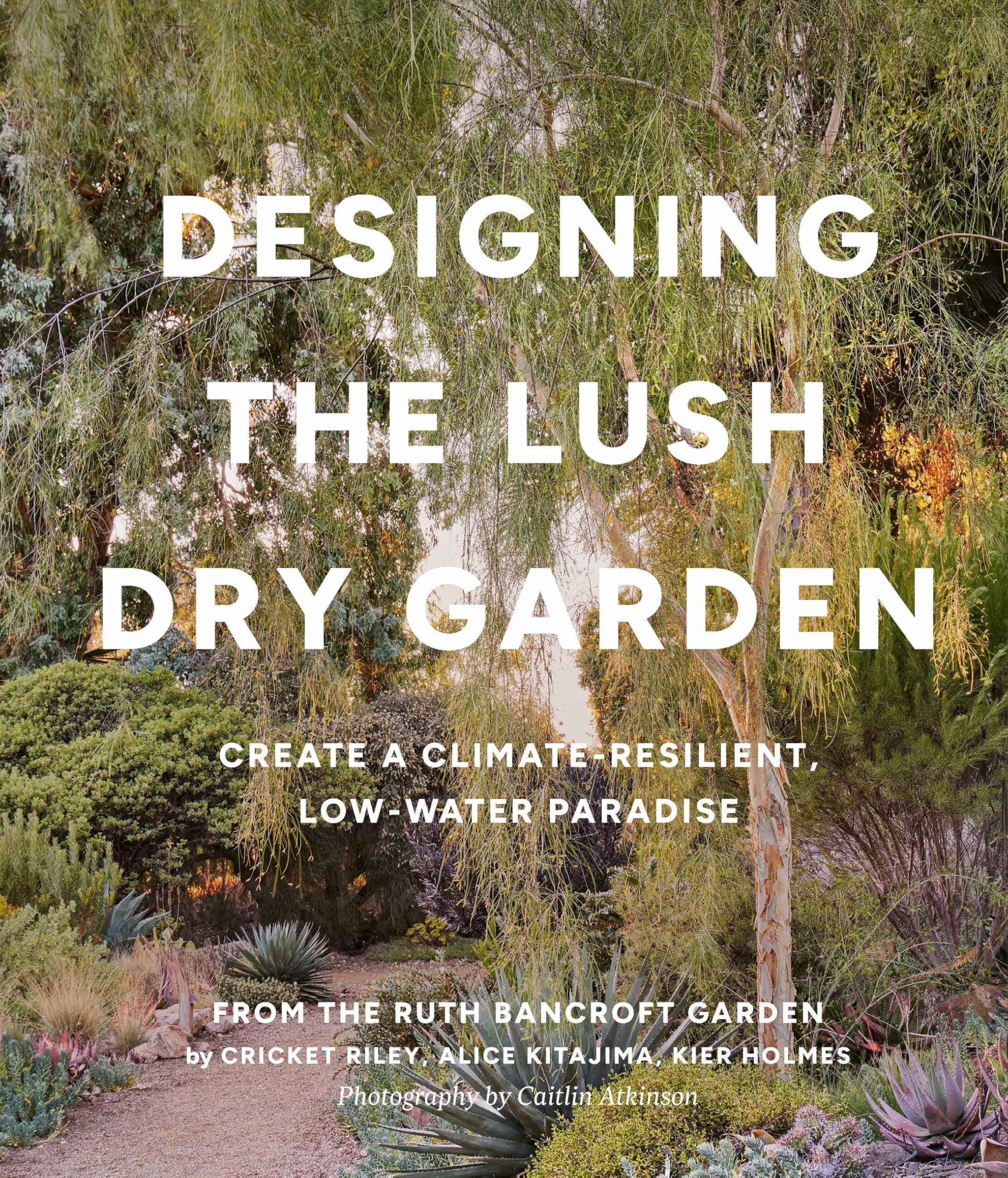 Designing The Lush Dry Garden