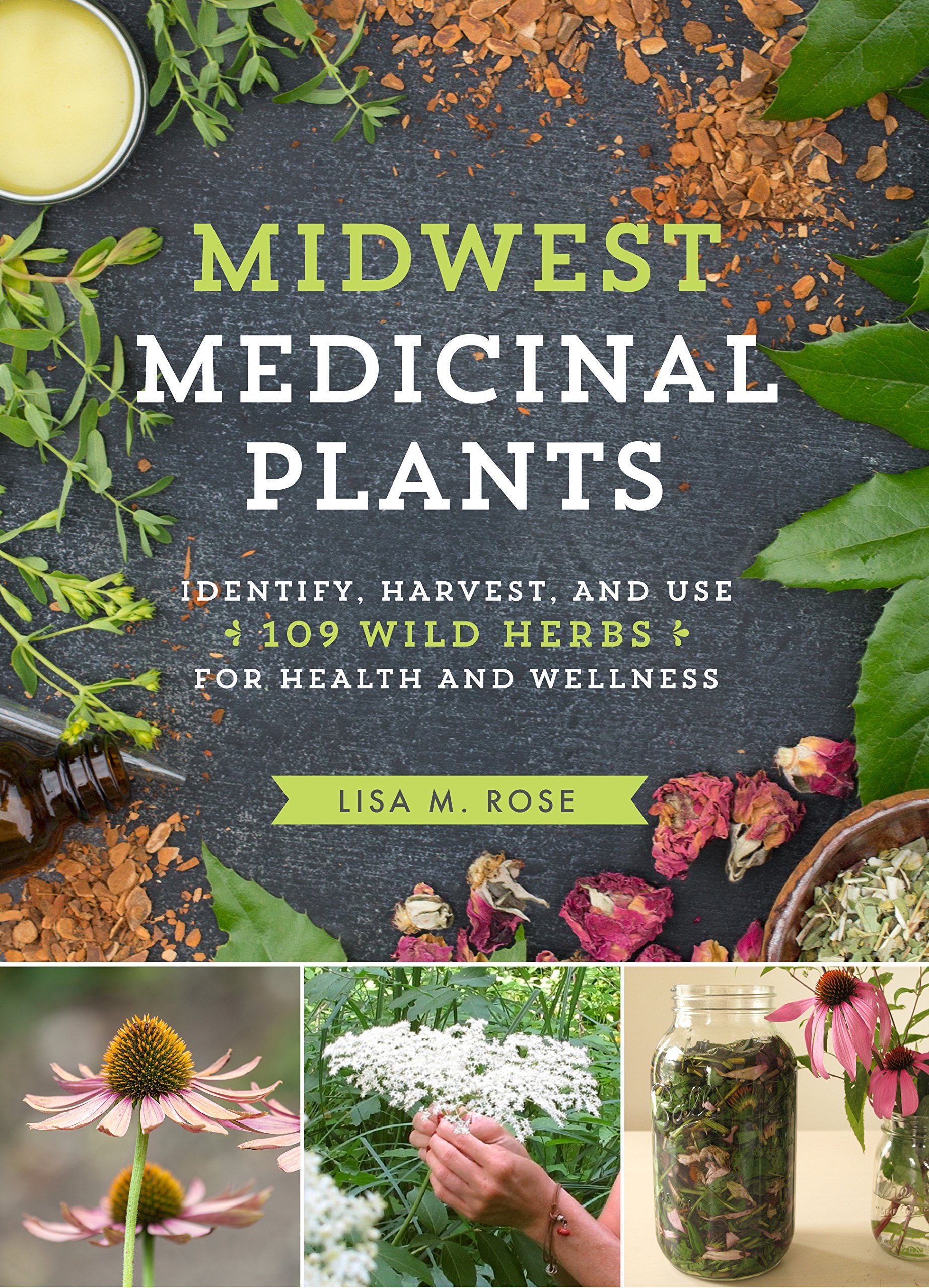 Midwest Medicinal Plants: Identify, Harvest, and Use 109 Wild Herbs for Health and Wellness (Medicinal Plants Series),New