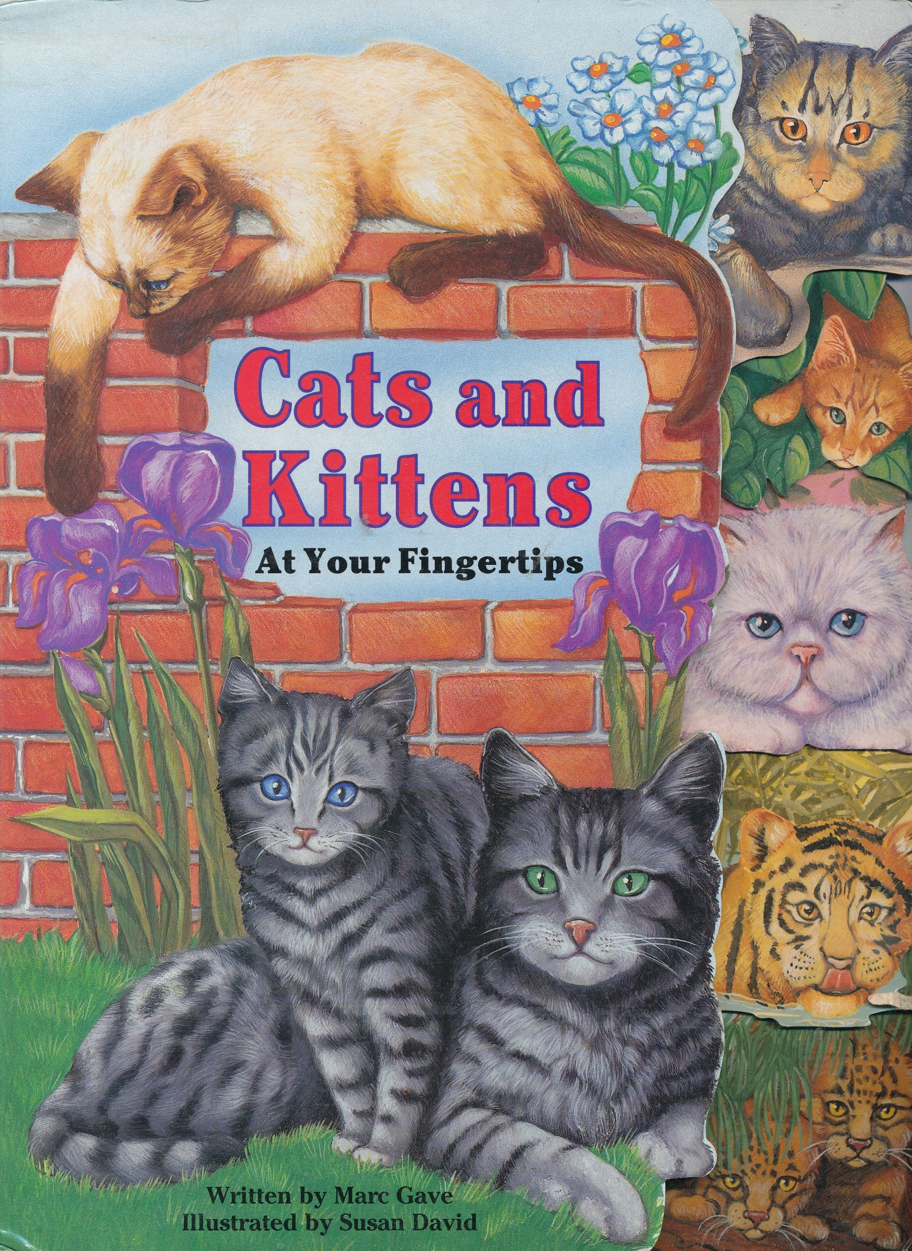 Cats and Kittens (At Your Fingertips),Used
