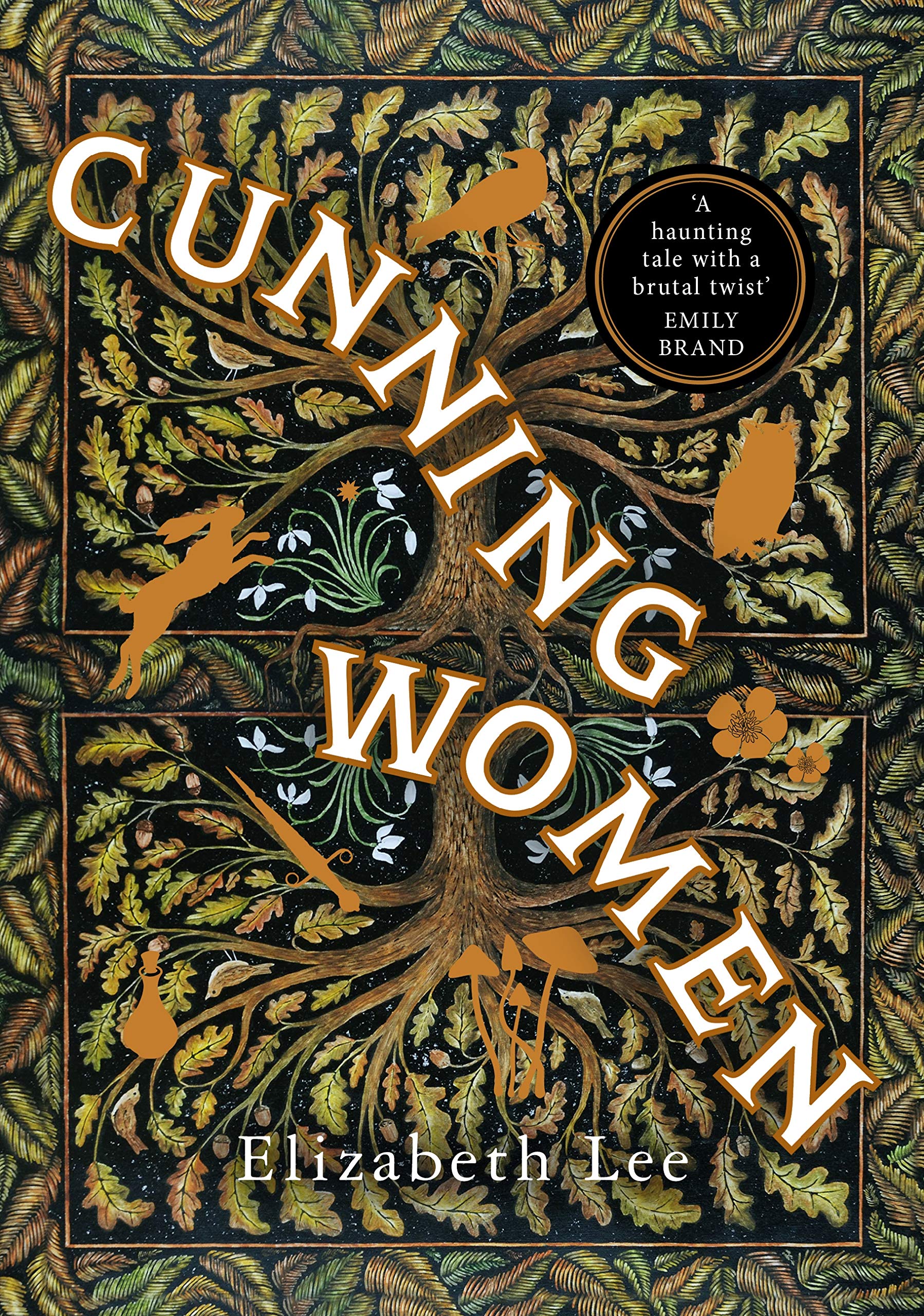 Cunning Women: A feminist tale of forbidden love after the witch trials,Used