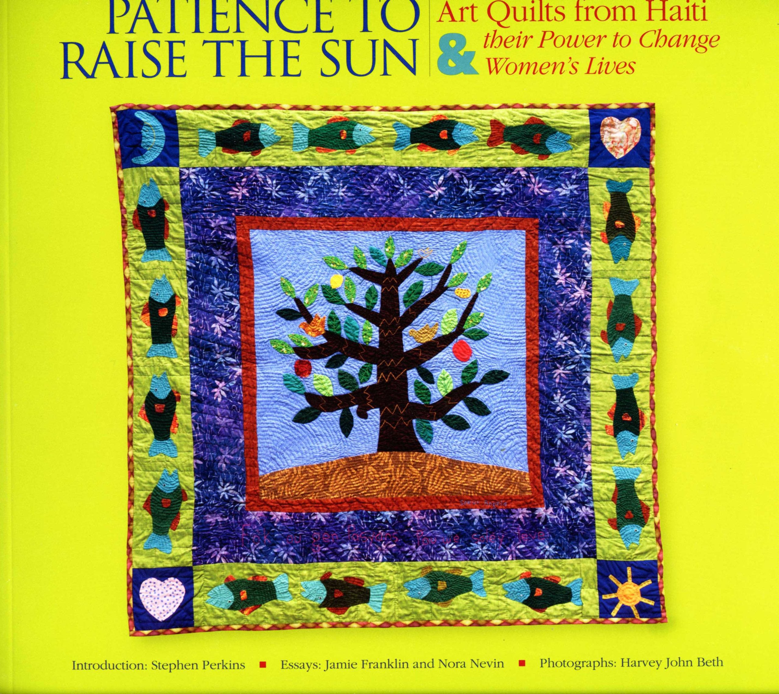 Patience to Raise the Sun: Art Quilts from Haiti Their Power to Change Women's Lives,Used