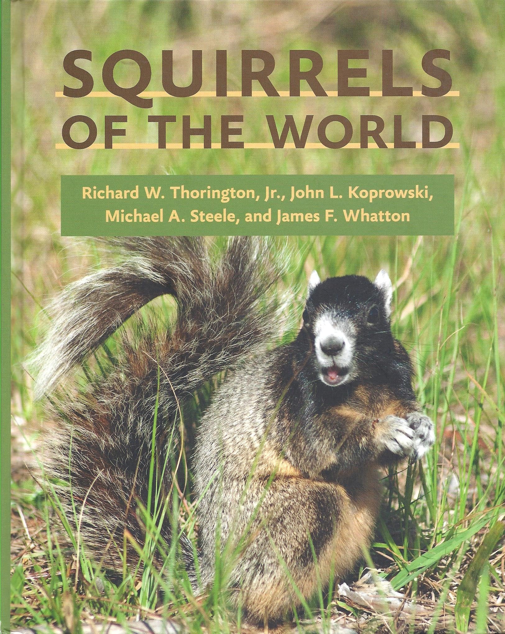 Squirrels of the World,Used