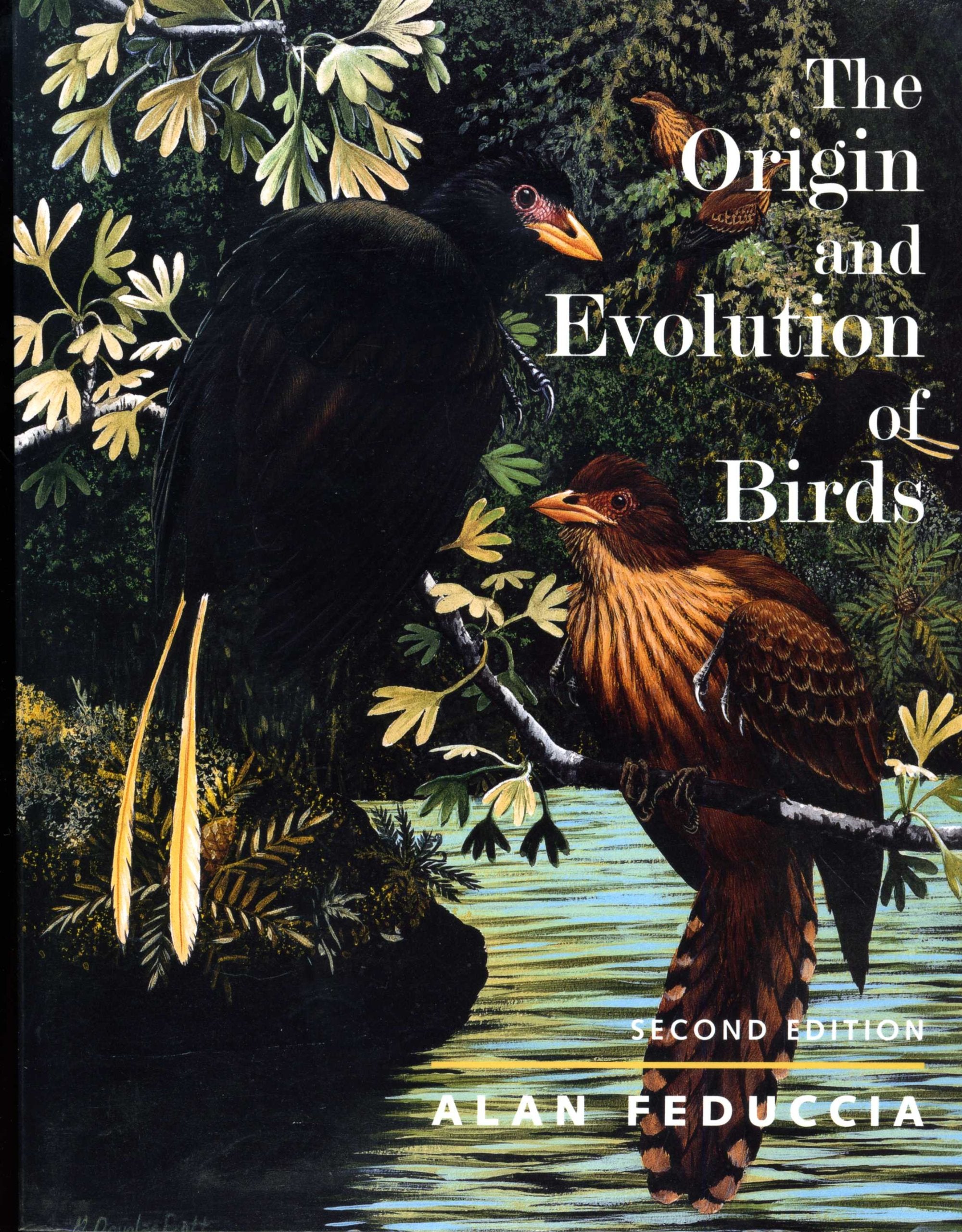 The Origin And Evolution Of Birds