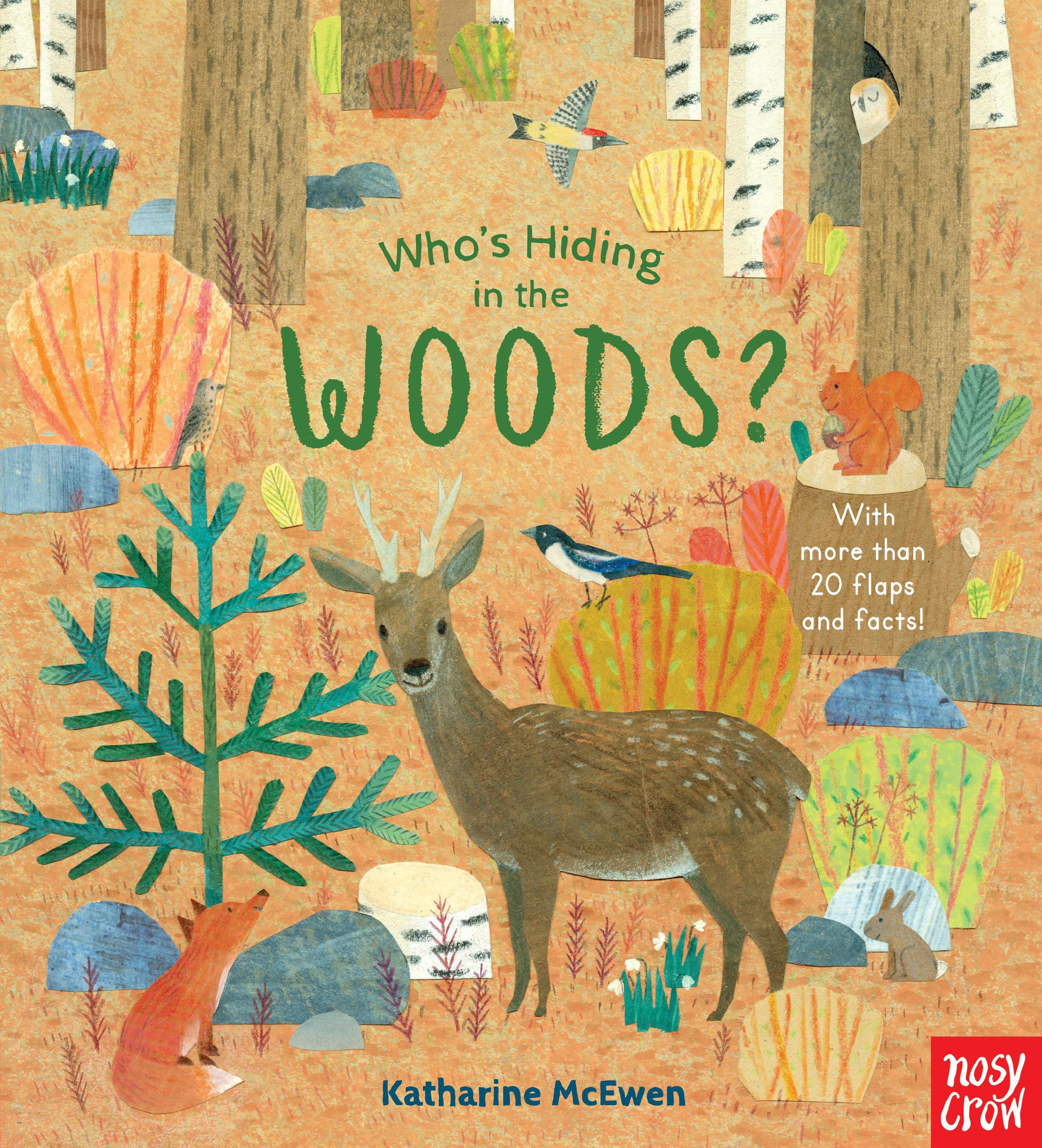 Who's Hiding in the Woods?,Used