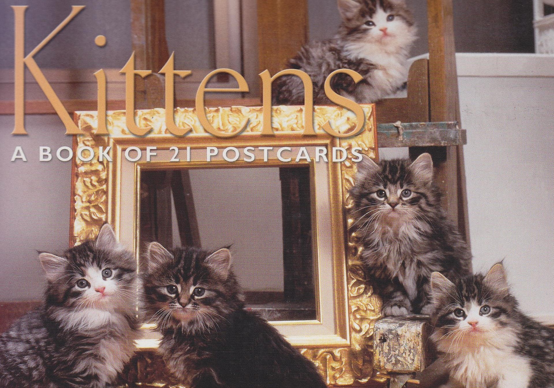 Kittens: A Book Of 21 Postcards,New