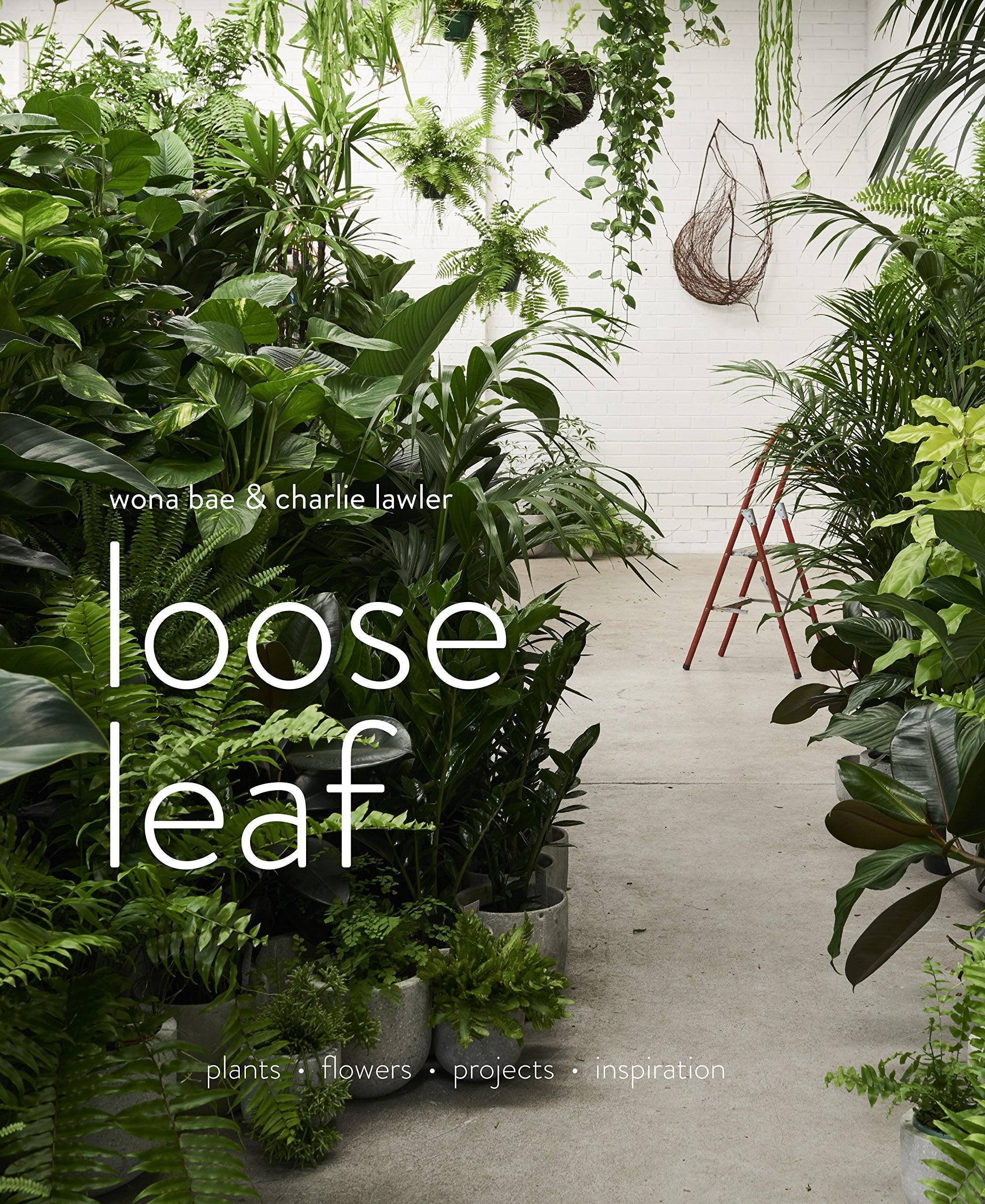 Loose Leaf: Plants  Flowers  Projects  Inspiration
