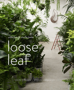 Loose Leaf: Plants  Flowers  Projects  Inspiration