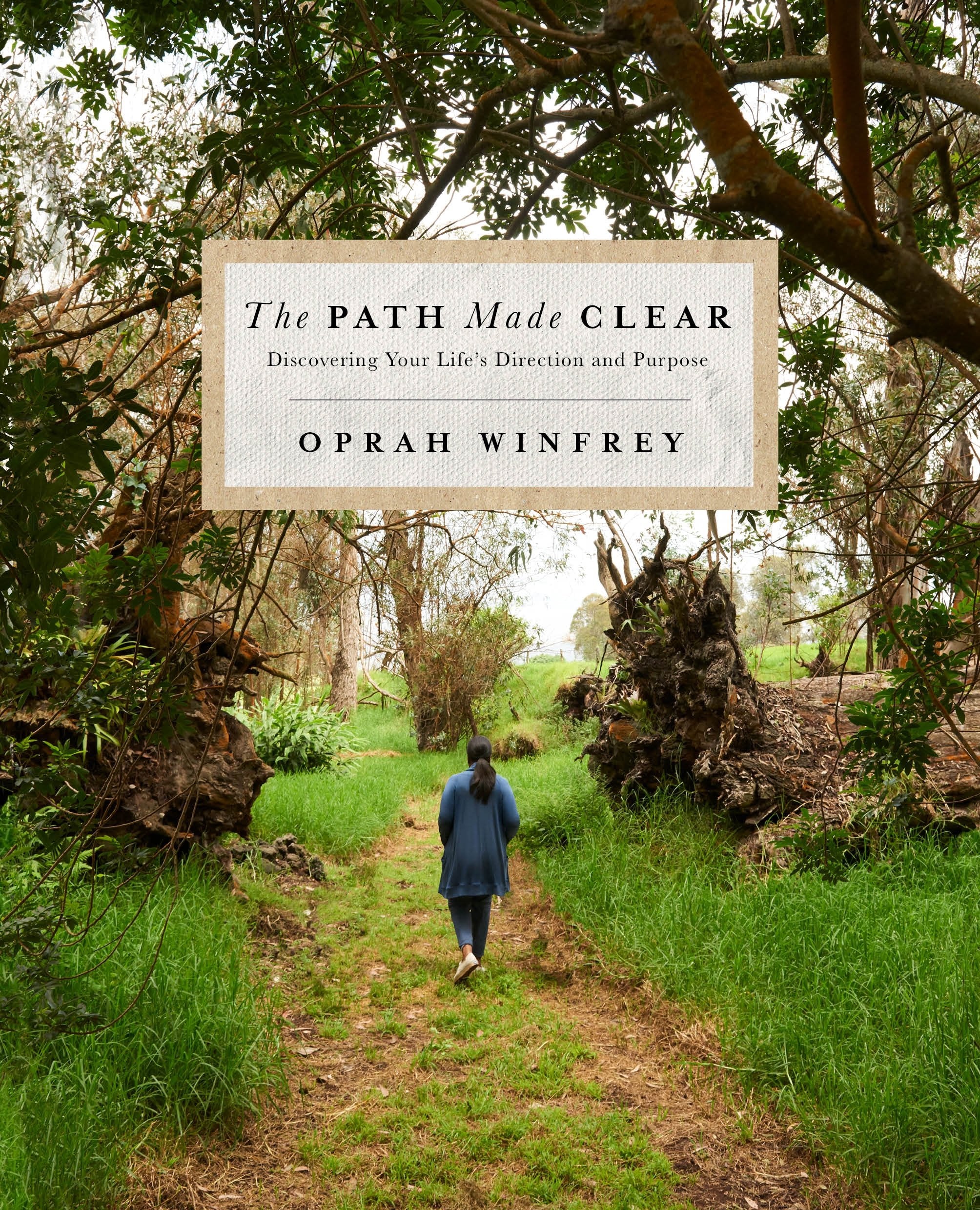 The Path Made Clear: Discovering Your Life's Direction and Purpose,Used