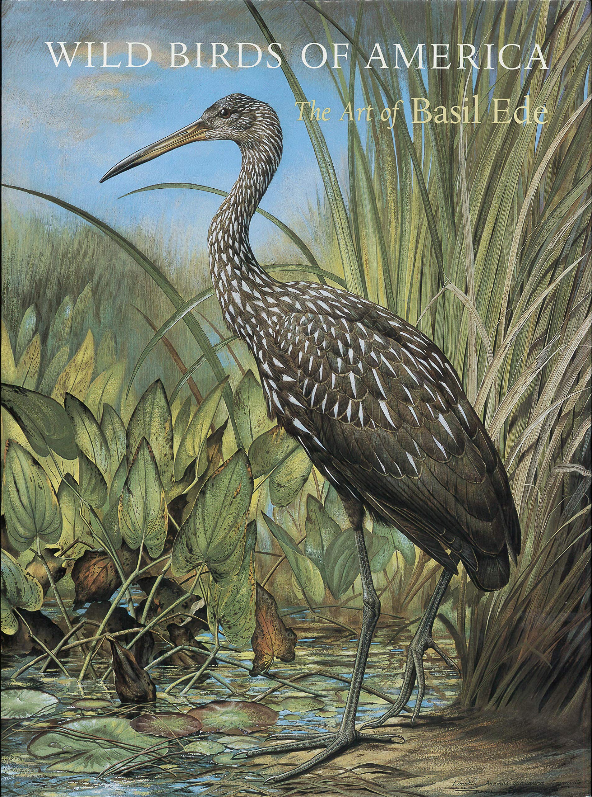 Wild Birds of America: The Art of Basil Ede,Used