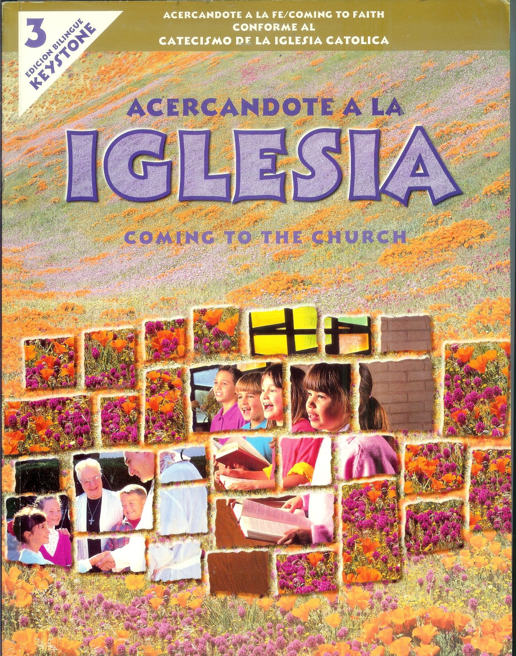 Acercandote a La Iglesia (Coming to the Church) (Acercandto a La Fe/ Coming to Faith),Used