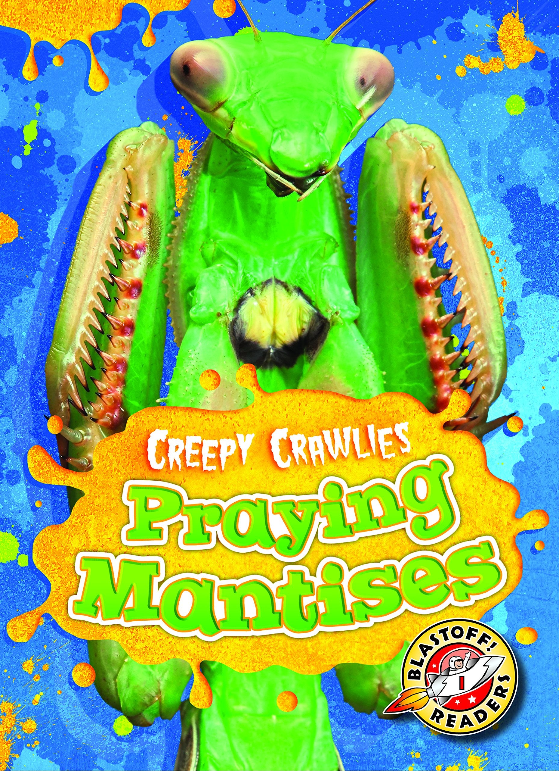 Praying Mantises (Creepy Crawlies),Used