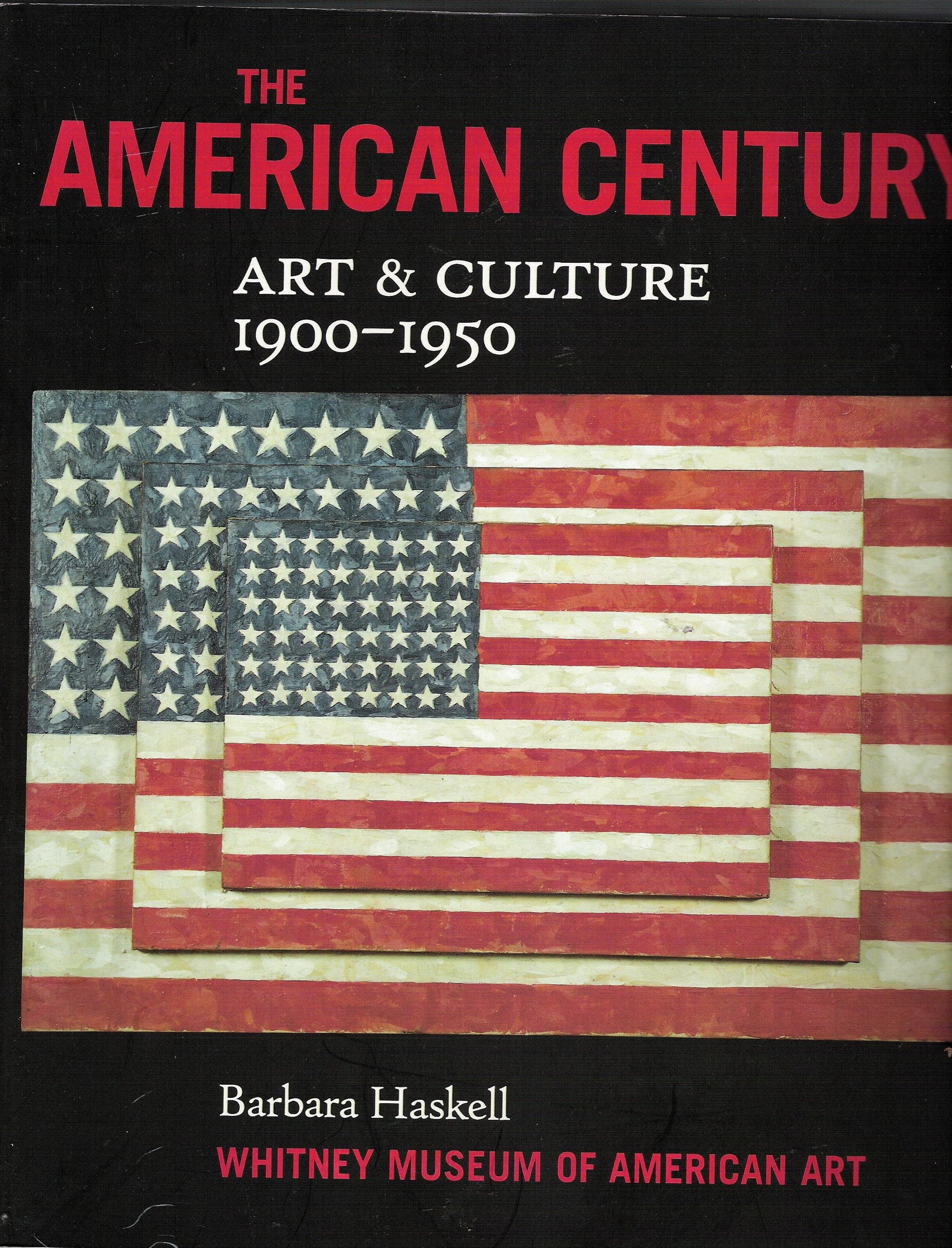The American Century: Art & Culture 19001950,Used