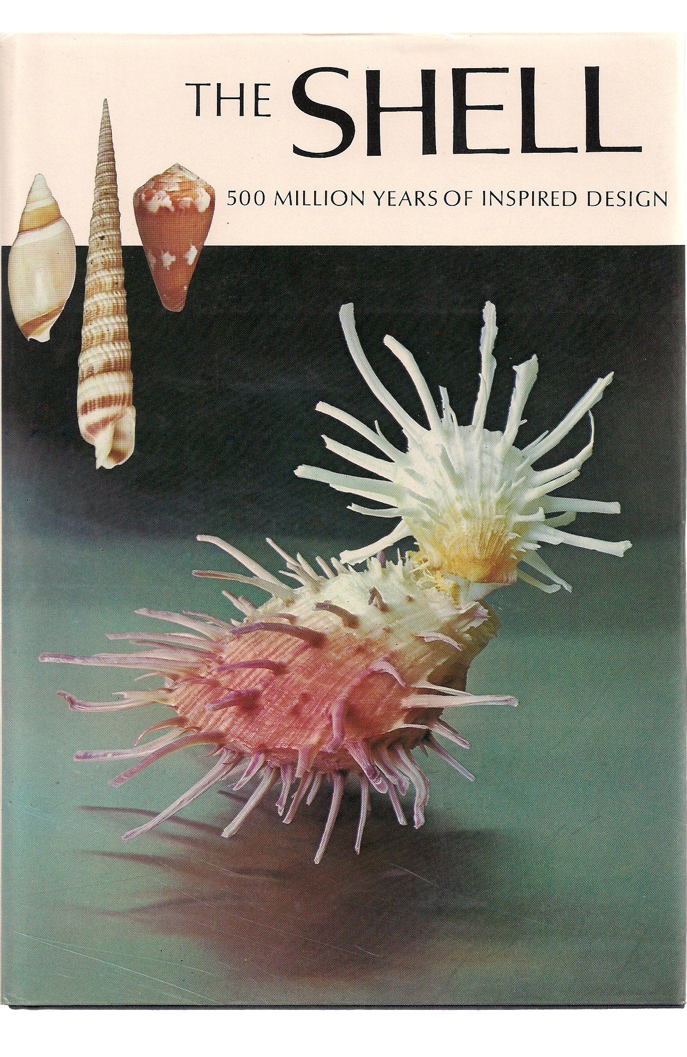 The Shell: Five Hundred Million Years Of Inspired Design,Used