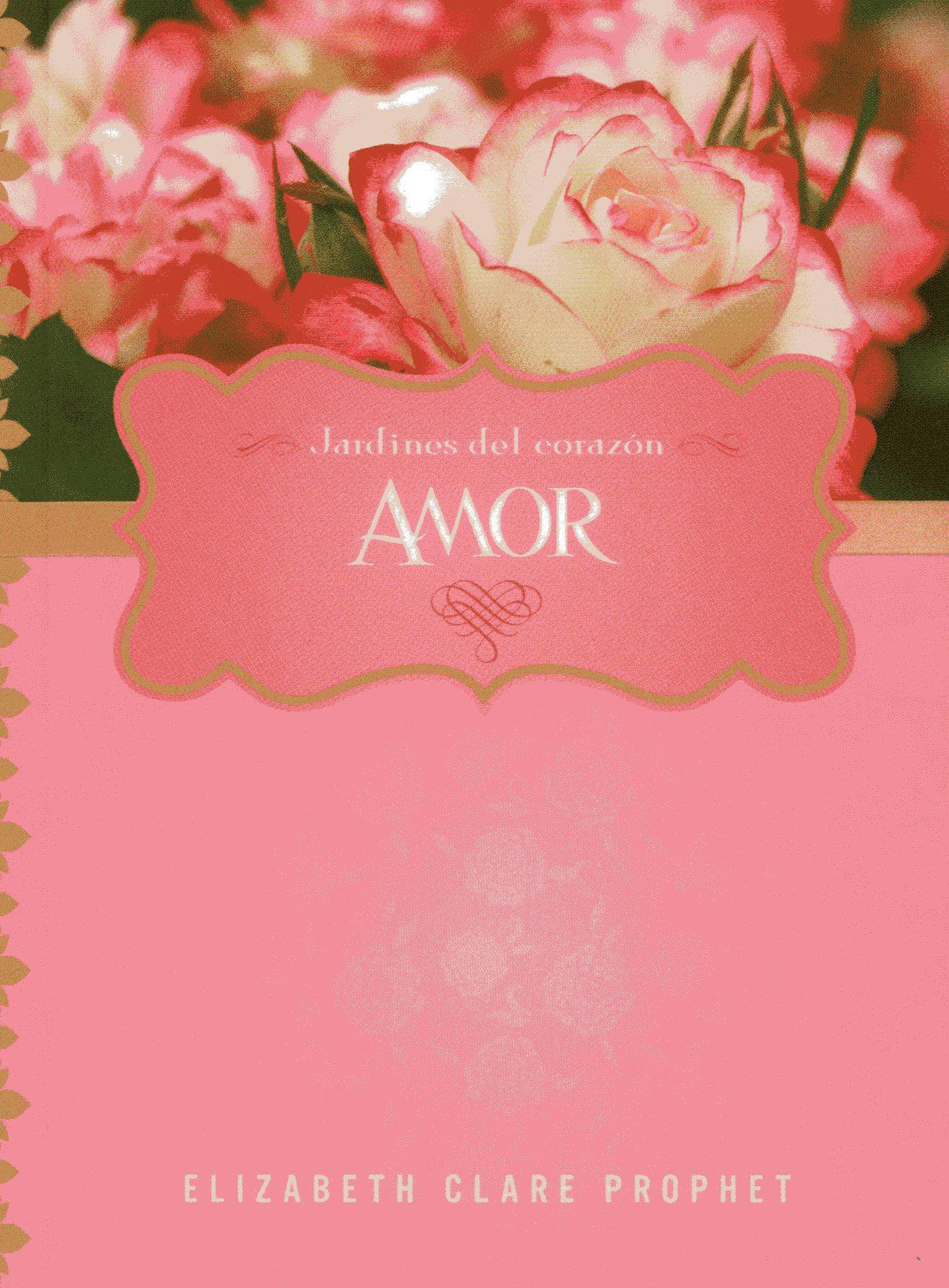 Amor (Jardines Del Corazon) (Spanish Edition),Used