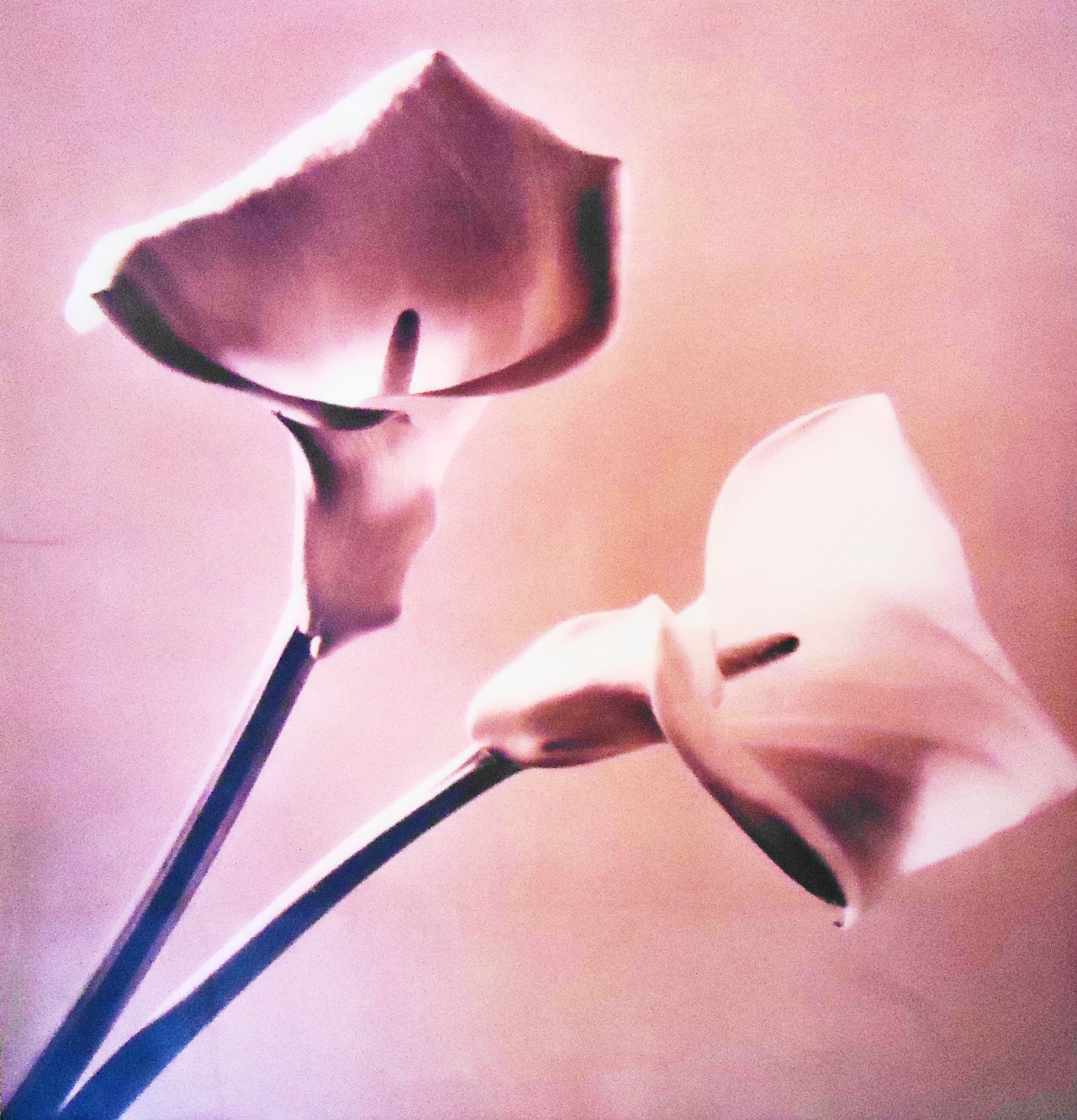 Pistils,Used