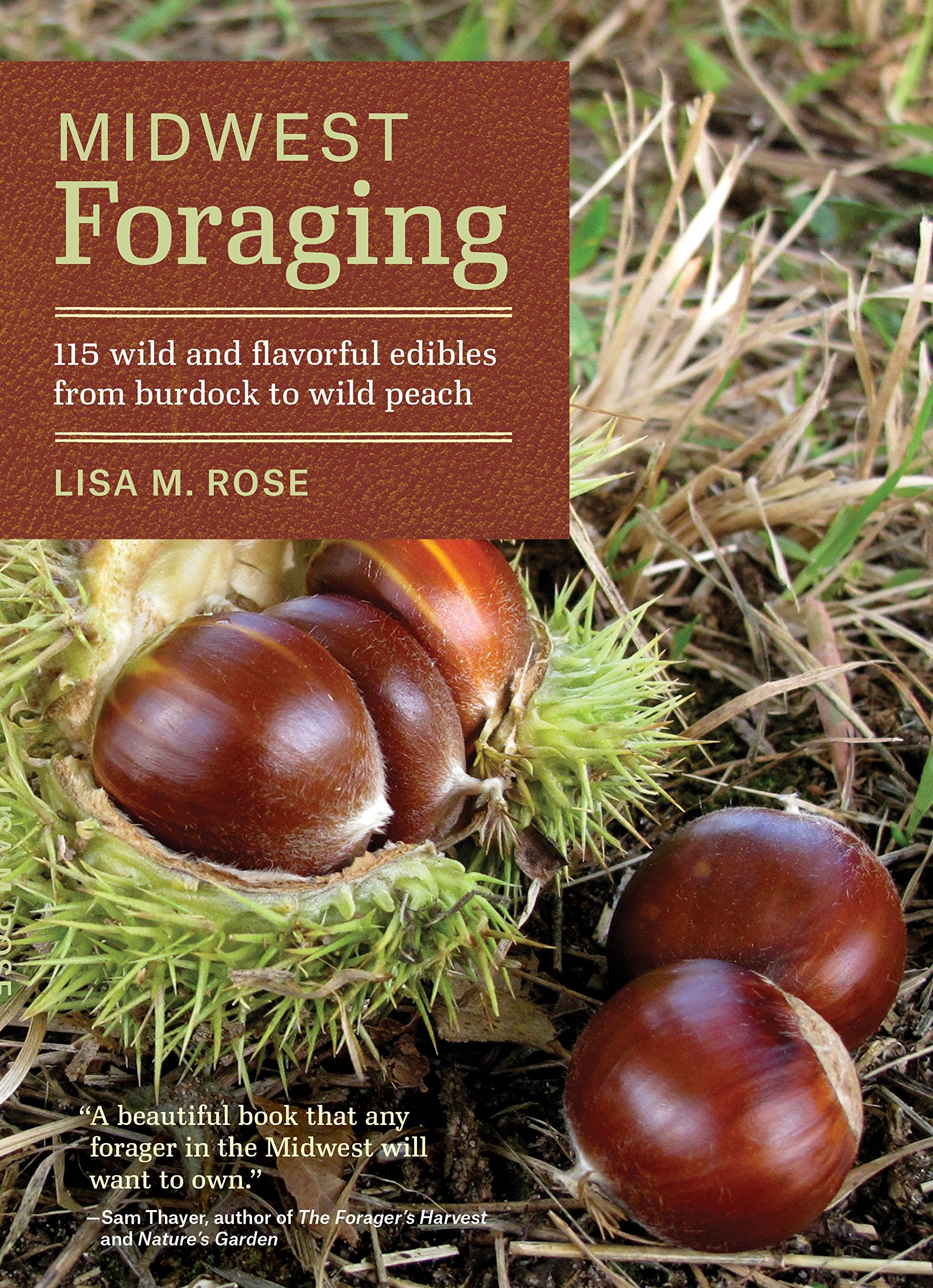 Midwest Foraging: 115 Wild and Flavorful Edibles from Burdock to Wild Peach (Regional Foraging Series),Used