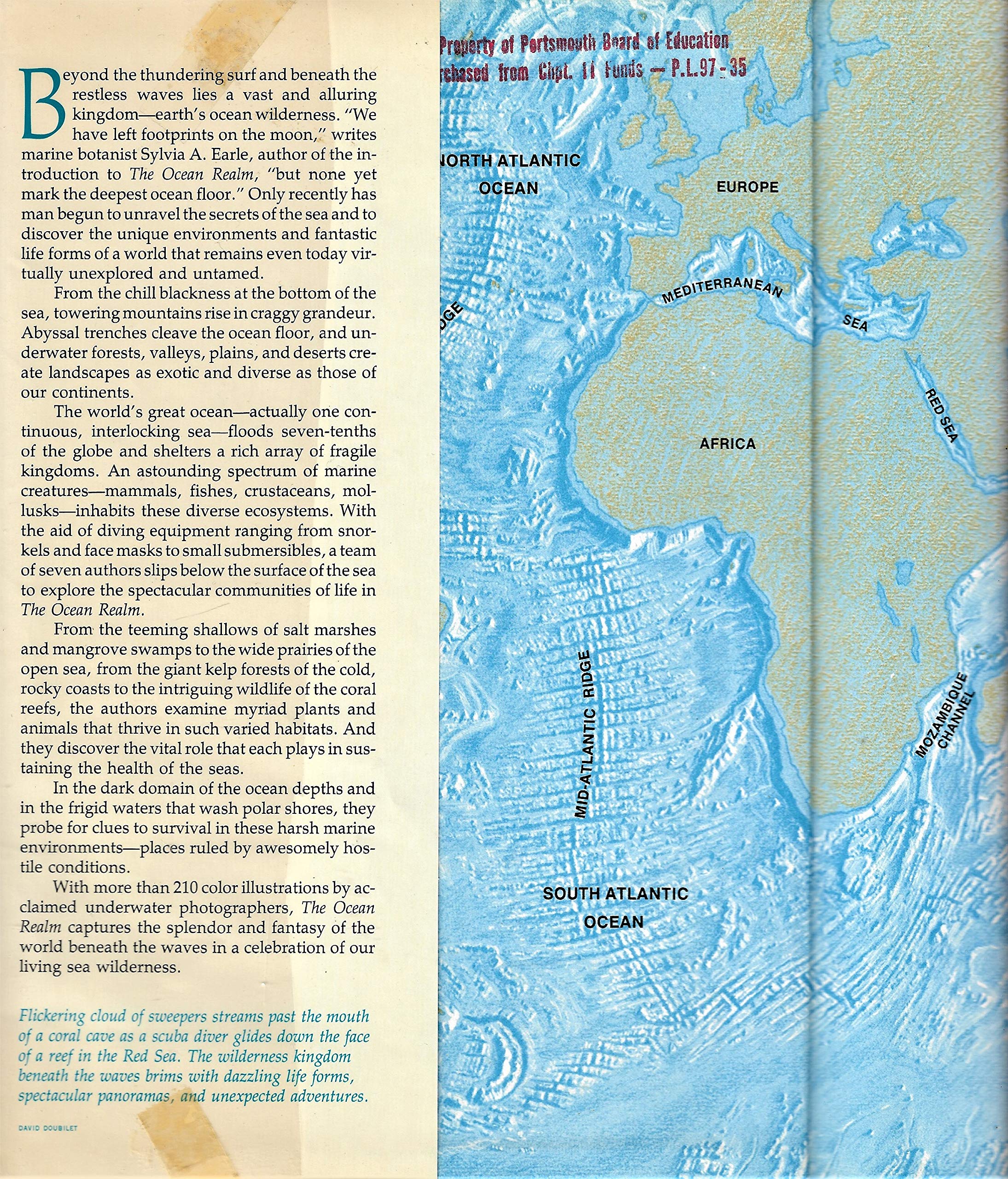 The Ocean Realm (Special Publications Series 13, No. 1),Used
