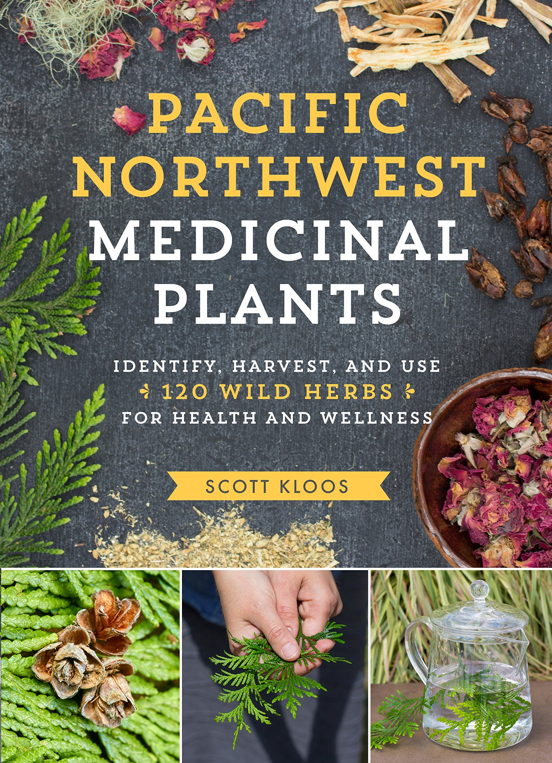 Pacific Northwest Medicinal Plants: Identify, Harvest, and Use 120 Wild Herbs for Health and Wellness (Medicinal Plants Series),New