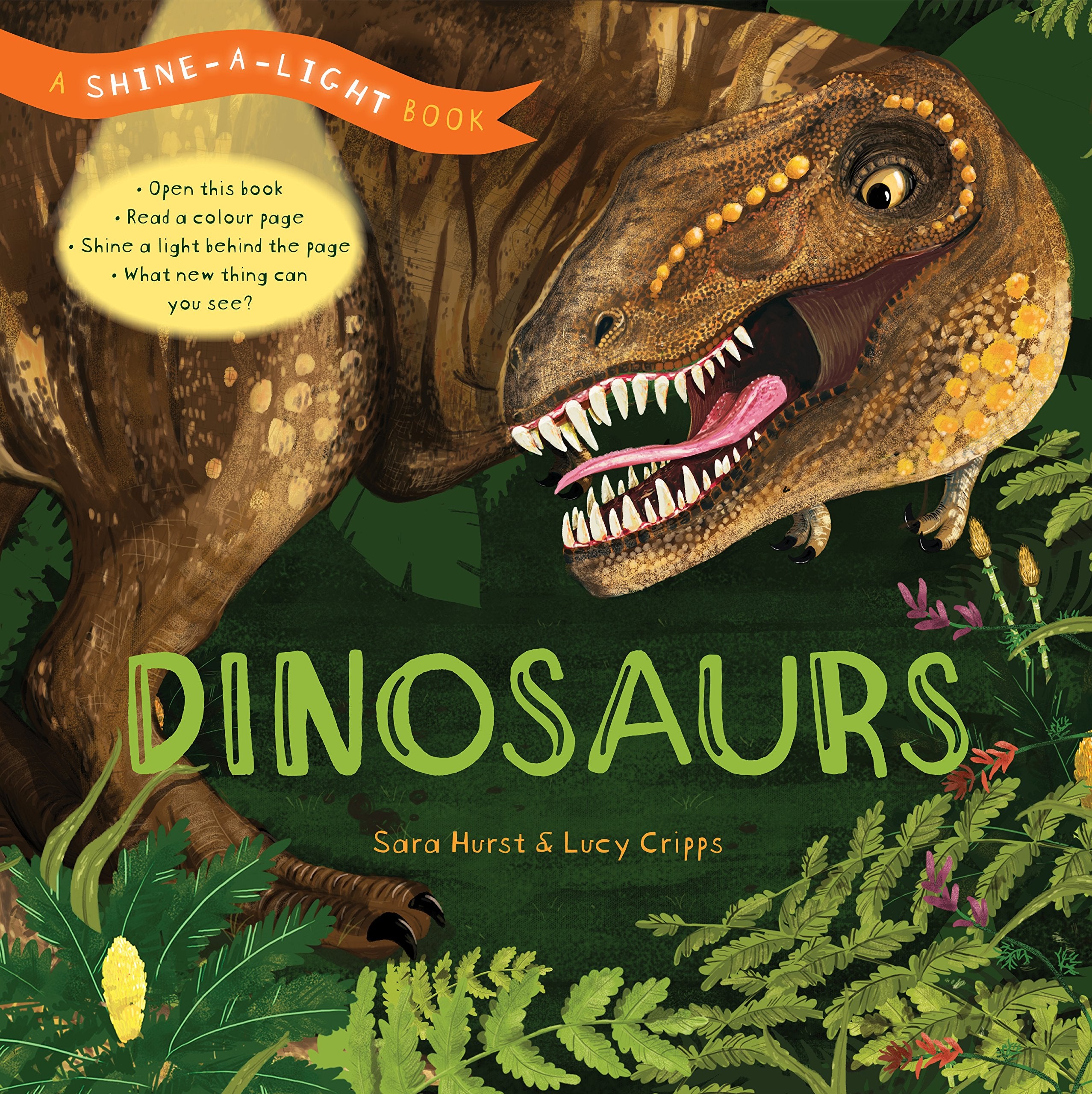 ShineaLight: Dinosaurs: A ShineaLight Book,Used