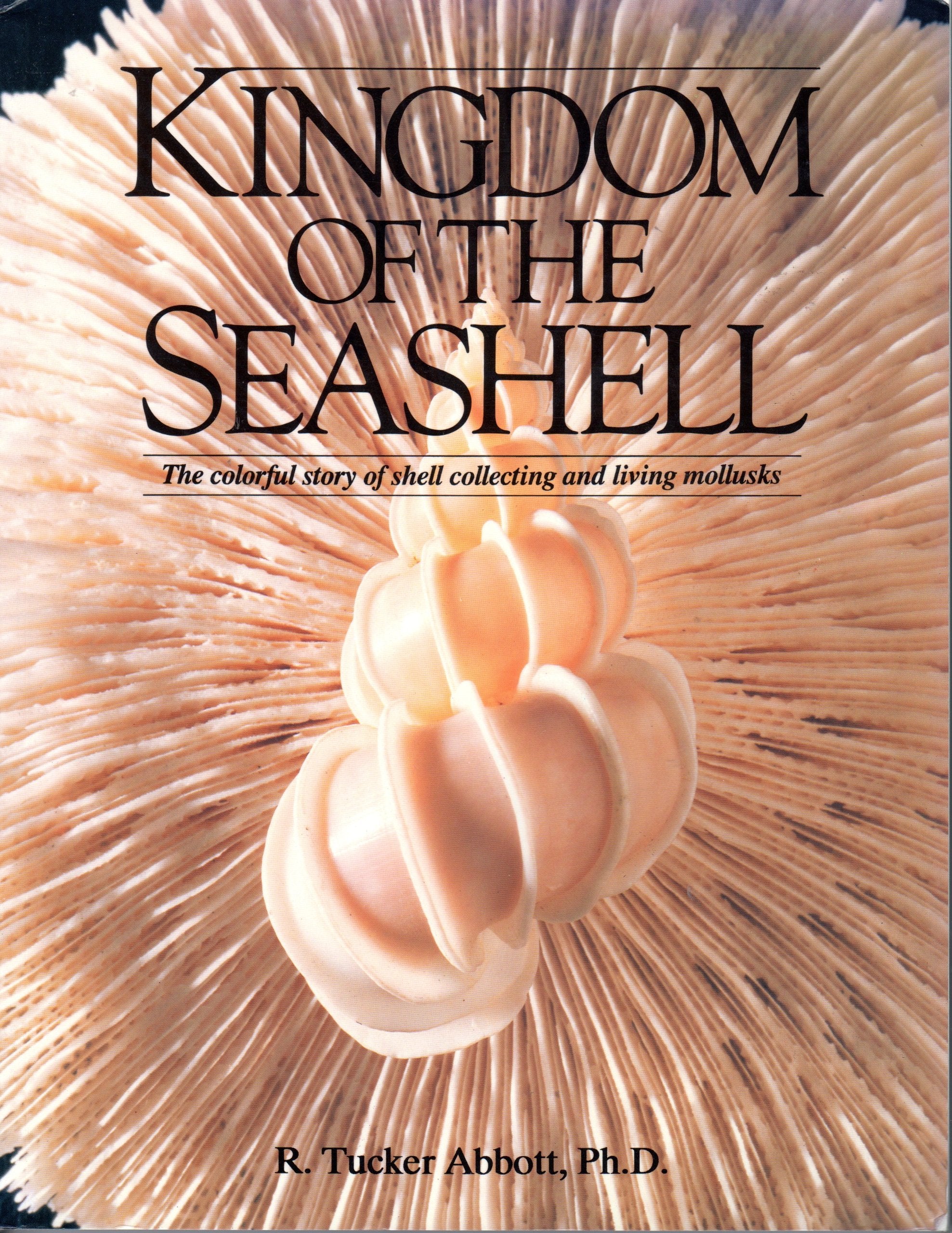 Kingdom Of The Seashell: The Colorful Story Of Shell Collecting-used