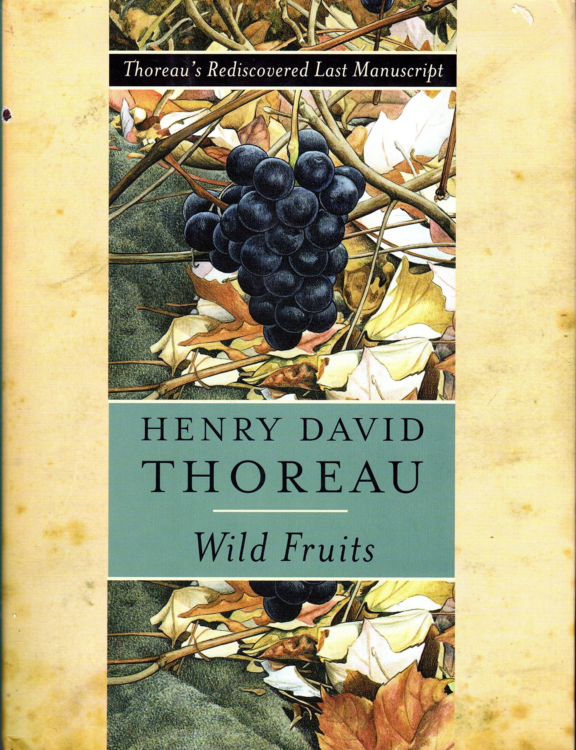 Wild Fruits: Thoreau'S Rediscovered Last Manuscript