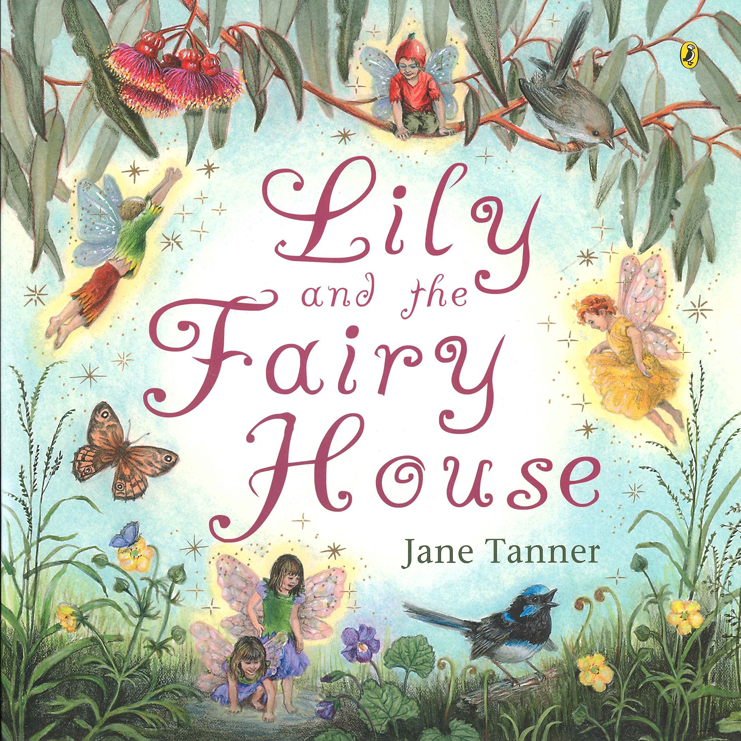 Lily and the Fairy House,Used