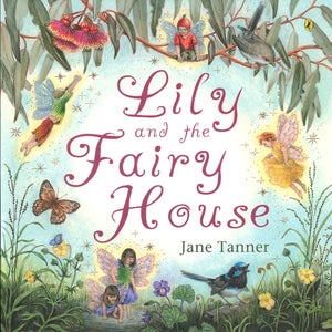 Lily and the Fairy House,Used