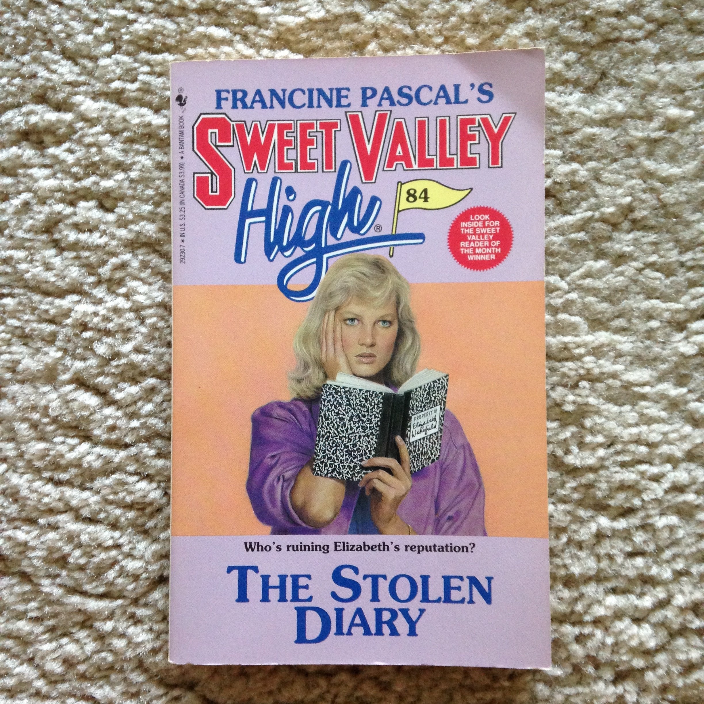The Stolen Diary (Sweet Valley High, Book 84)-used