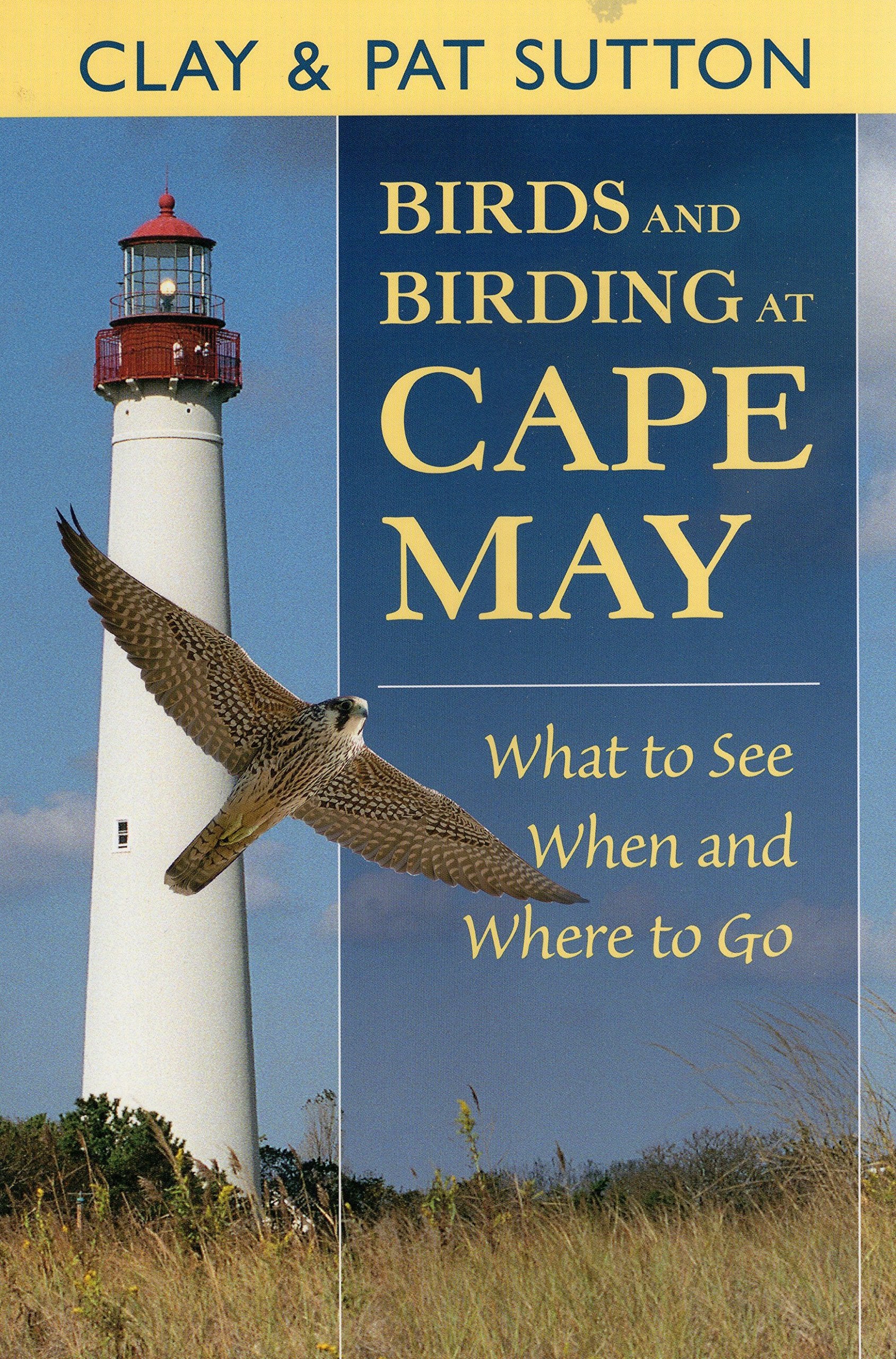 Birds And Birding At Cape May: What To See And When And Where To Go,Used