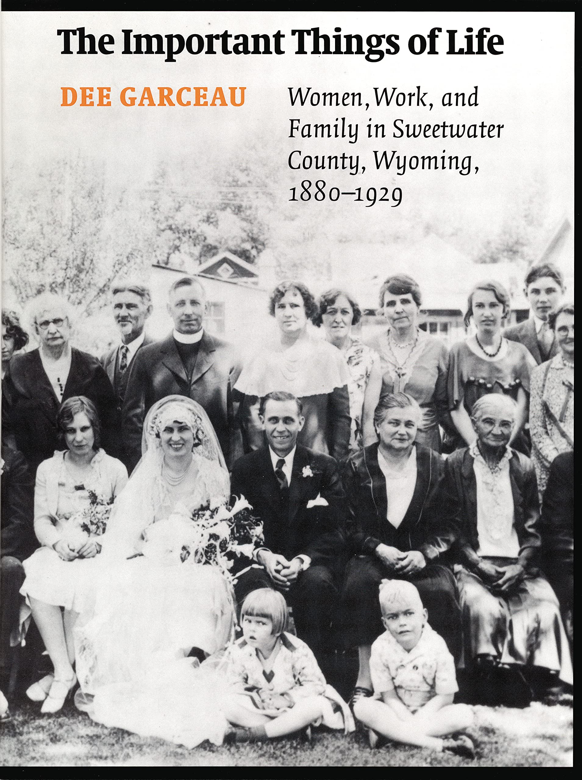 The Important Things of Life: Women, Work, and Family in Sweetwater County, Wyoming, 18801929 (Women in the West),Used