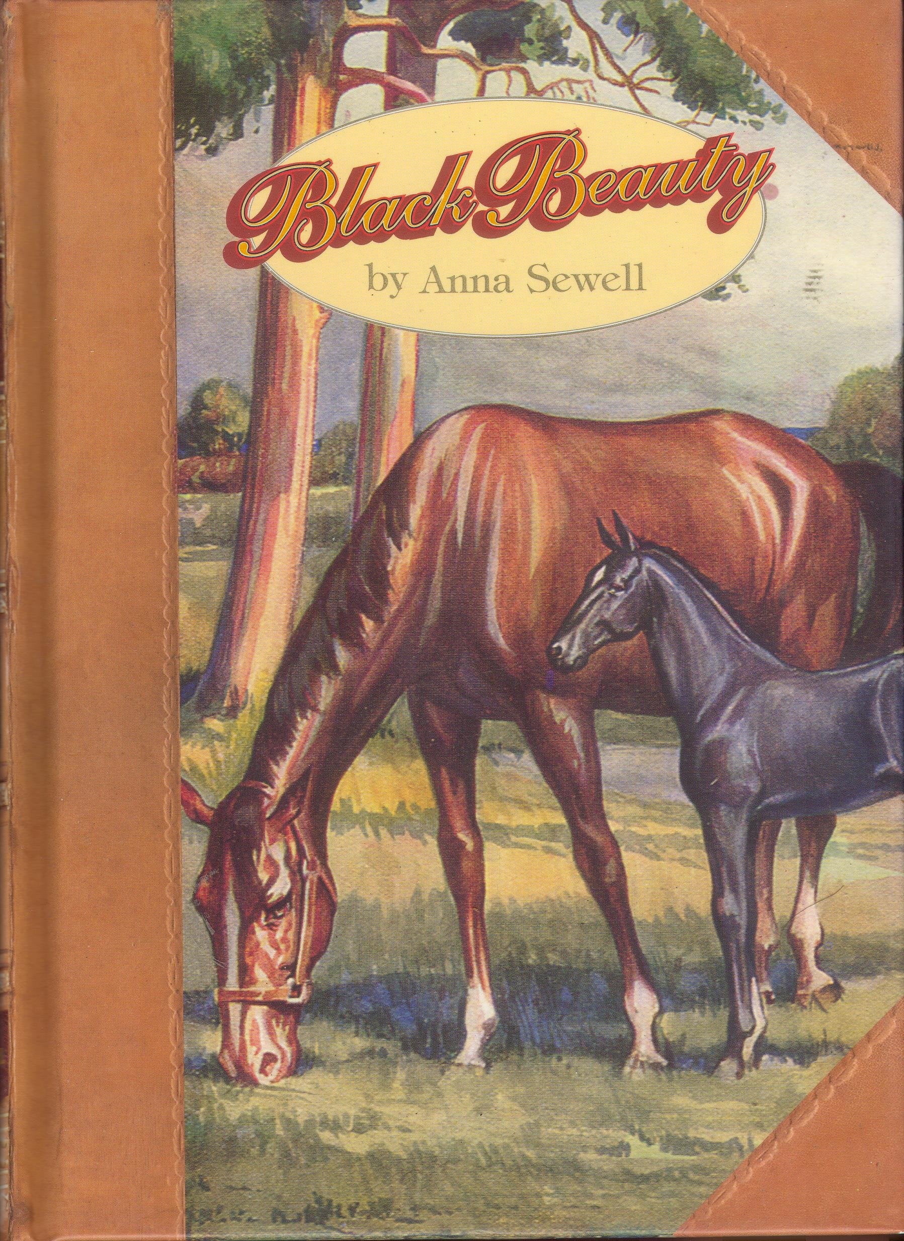 Black Beauty (Youth Literary Classics),Used