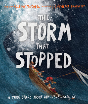 The Storm That Stopped,Used