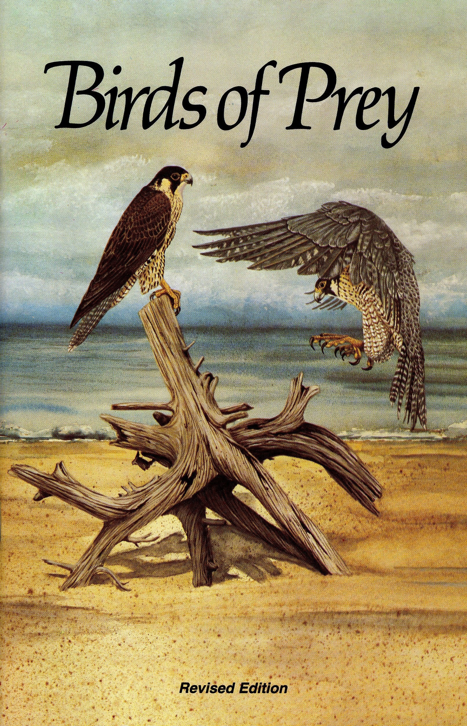 Florida's Birds of Prey,Used