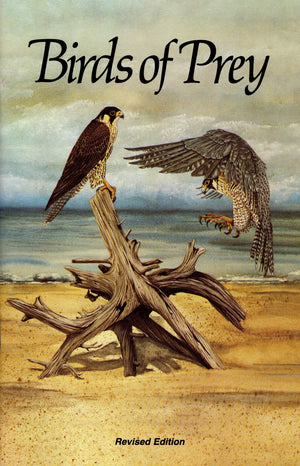 Florida's Birds of Prey,Used