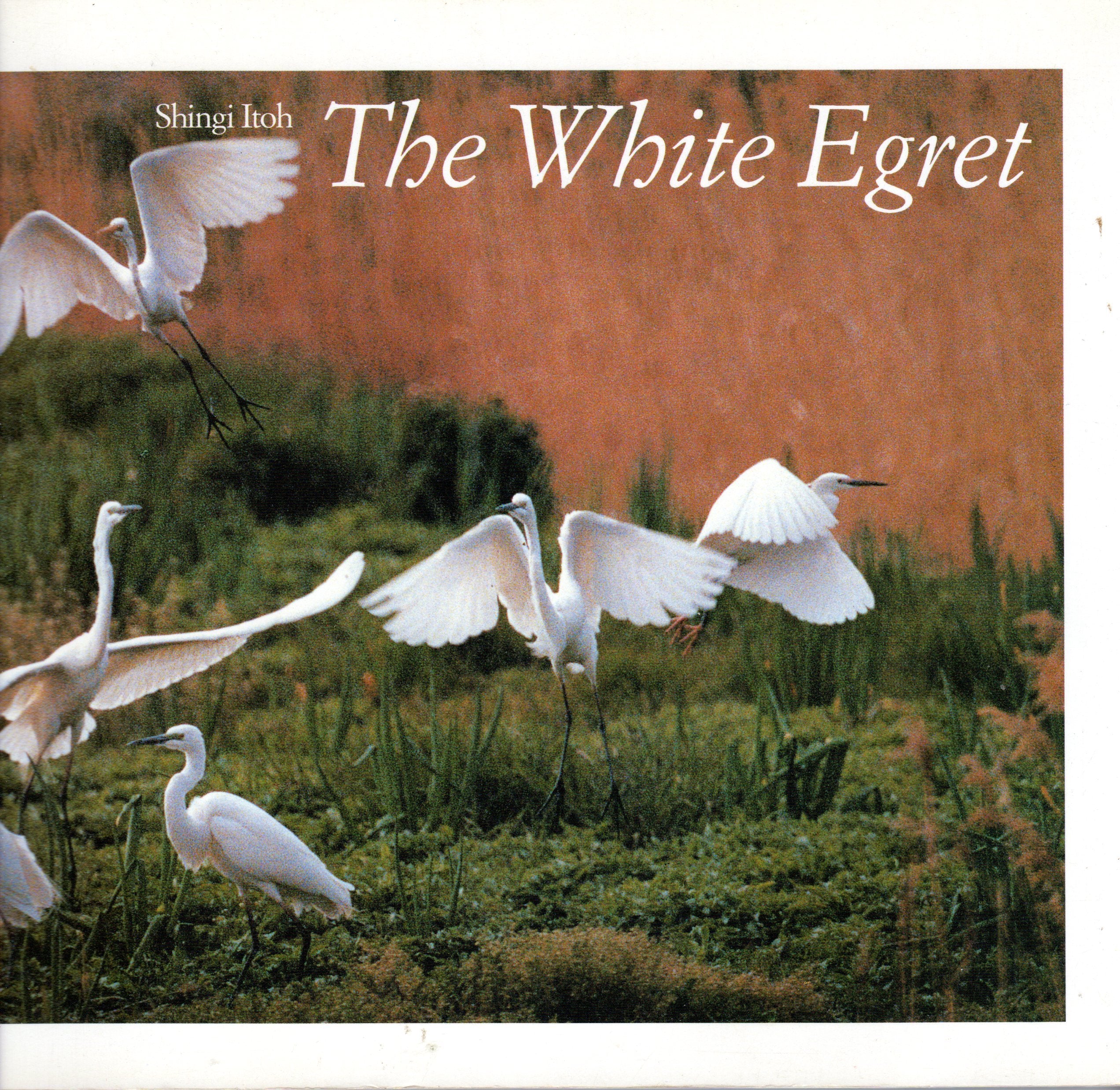 The White Egret,Used