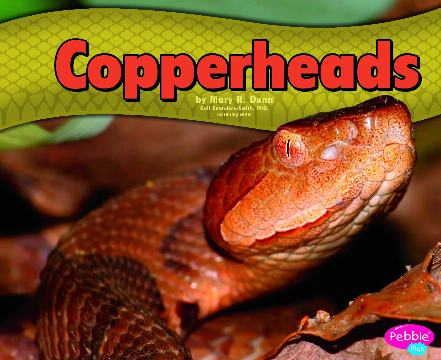 Copperheads (Snakes),Used
