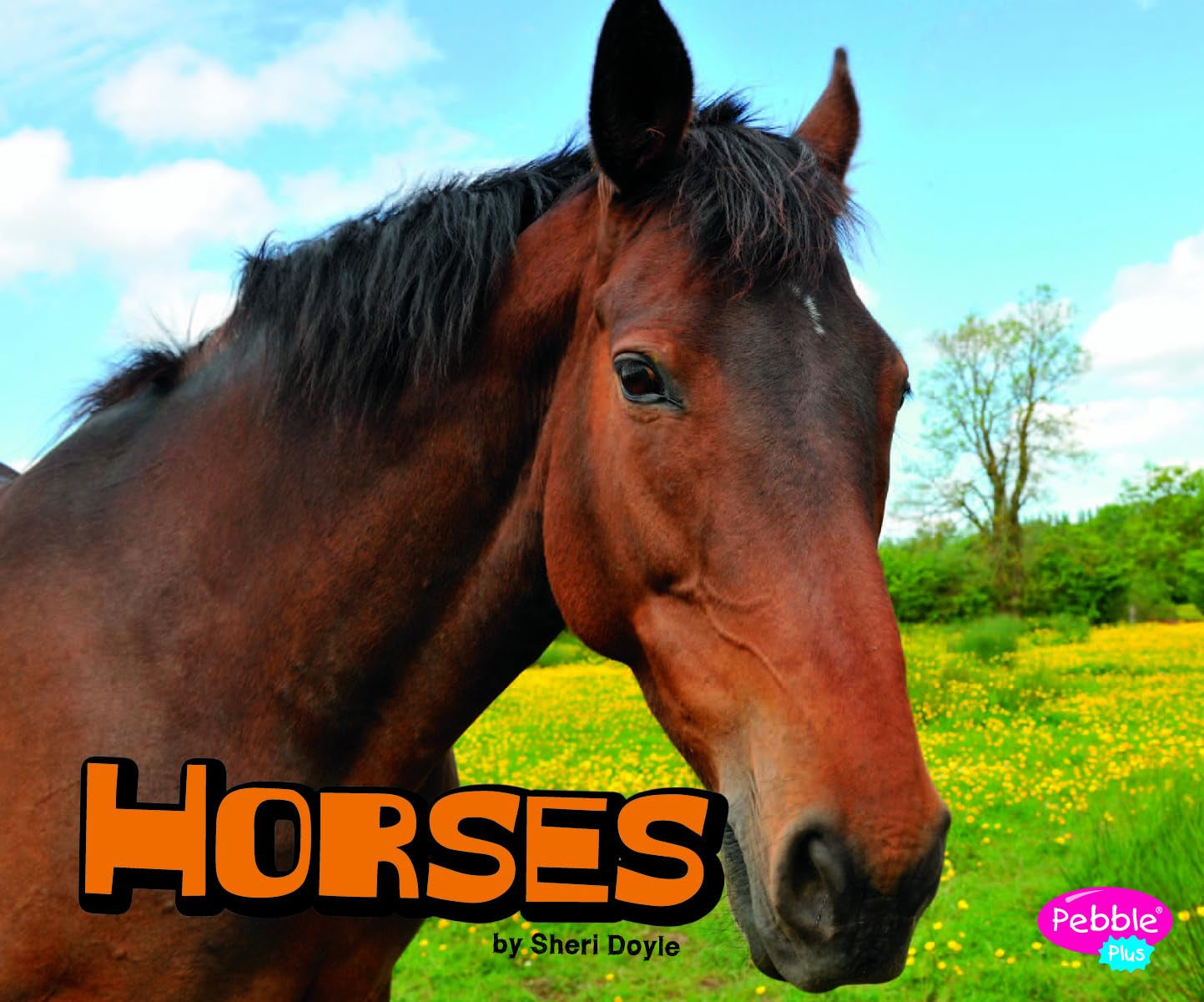 Horses (Pebble Plus: Farm Animals),Used