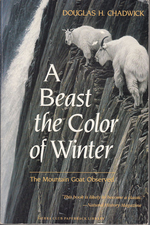 A Beast the Color of Winter