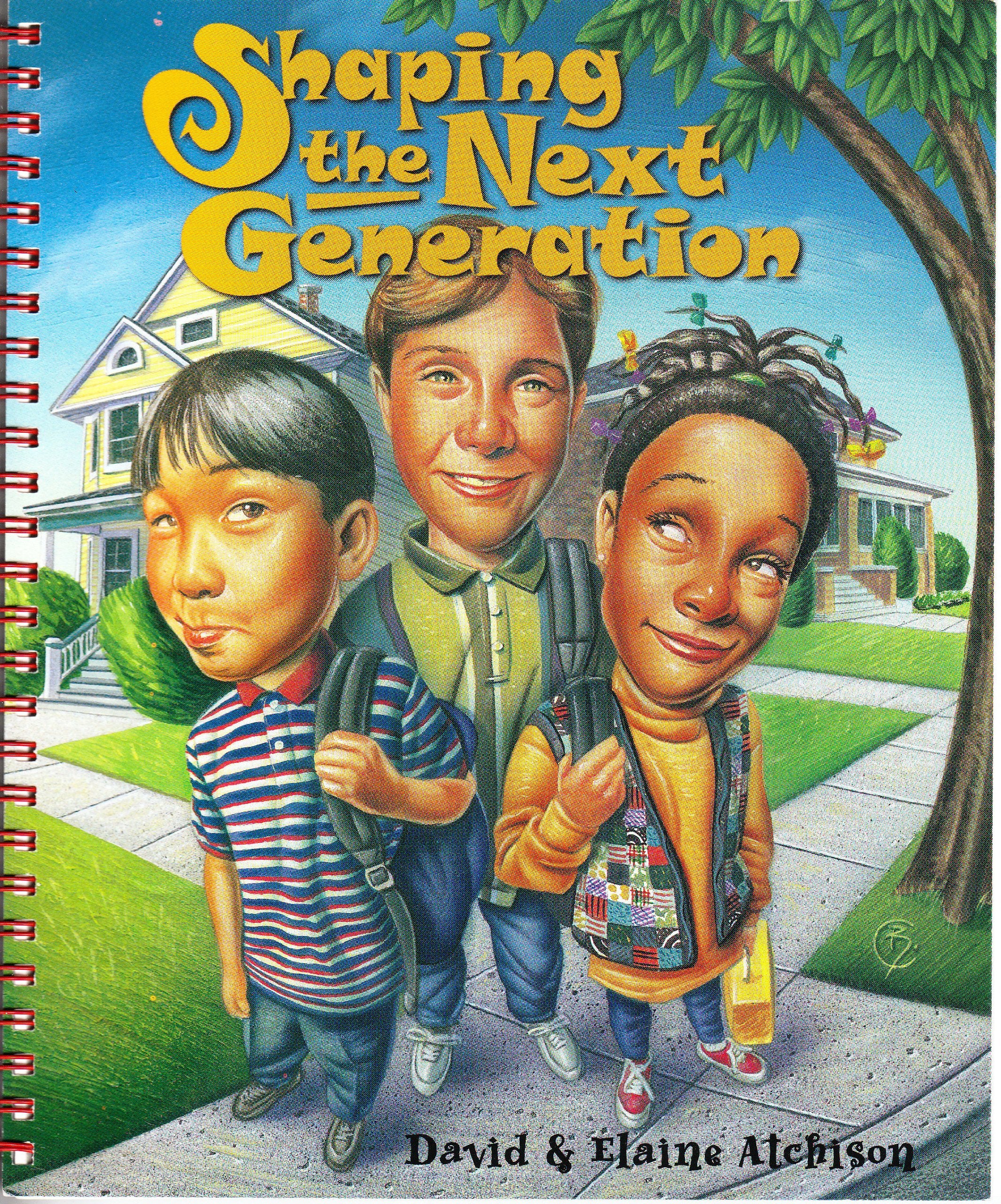 Shaping the Next Generation Workbook,Used