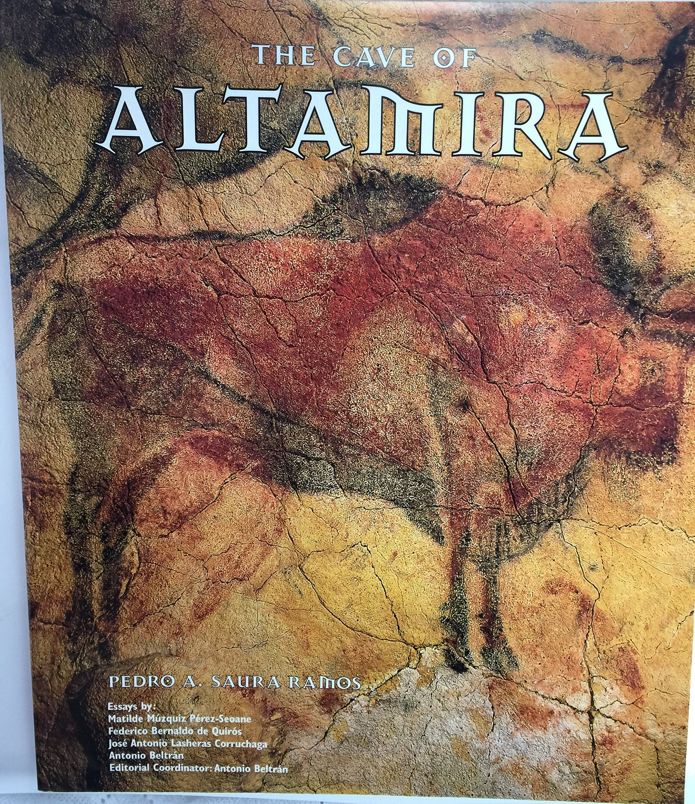 The Cave of Altamira,Used