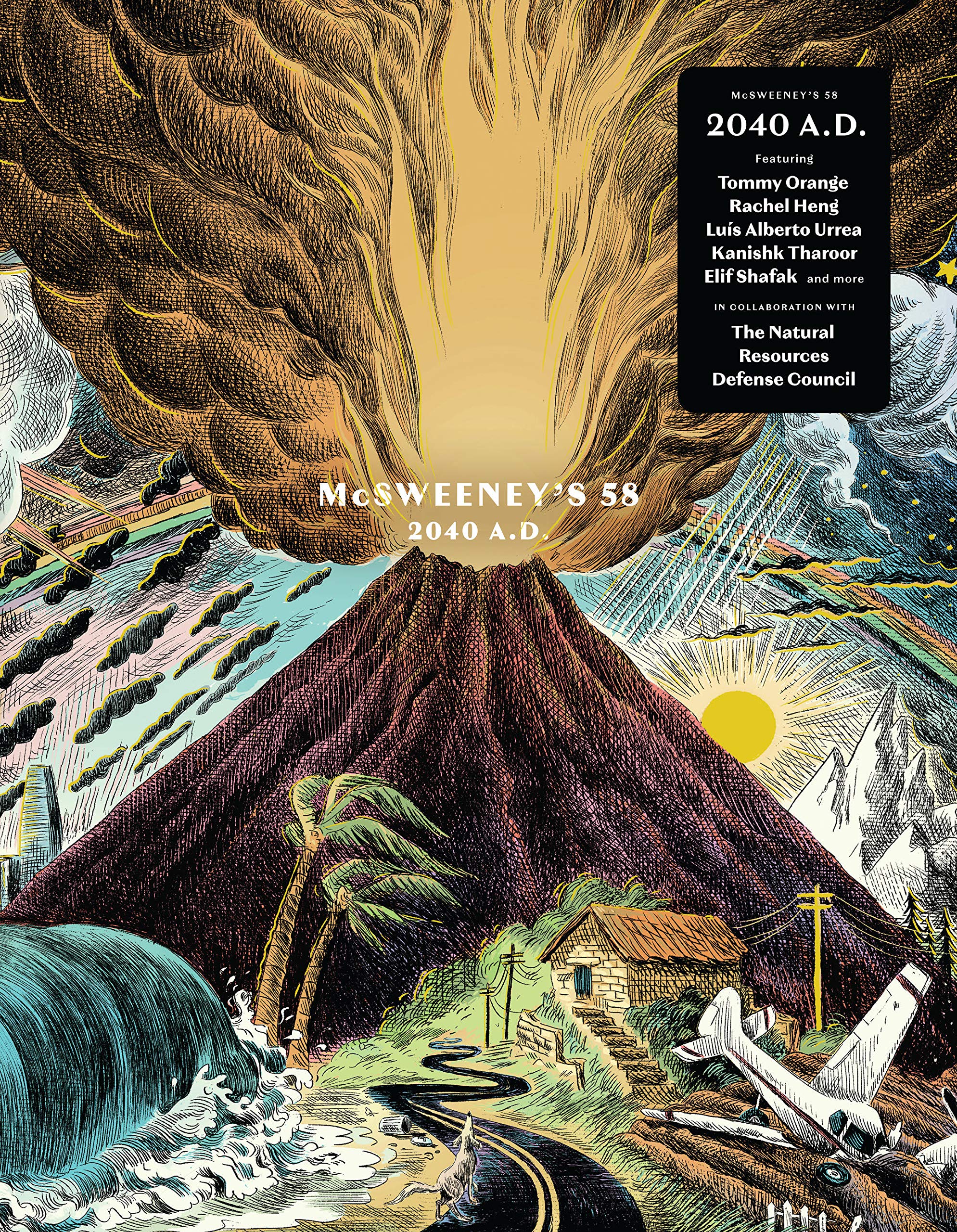 McSweeney's Issue 58 (McSweeney's Quarterly Concern): 2040 AD  Climate Fiction edition (McSweeney's Quarterly Concern, 58),Used