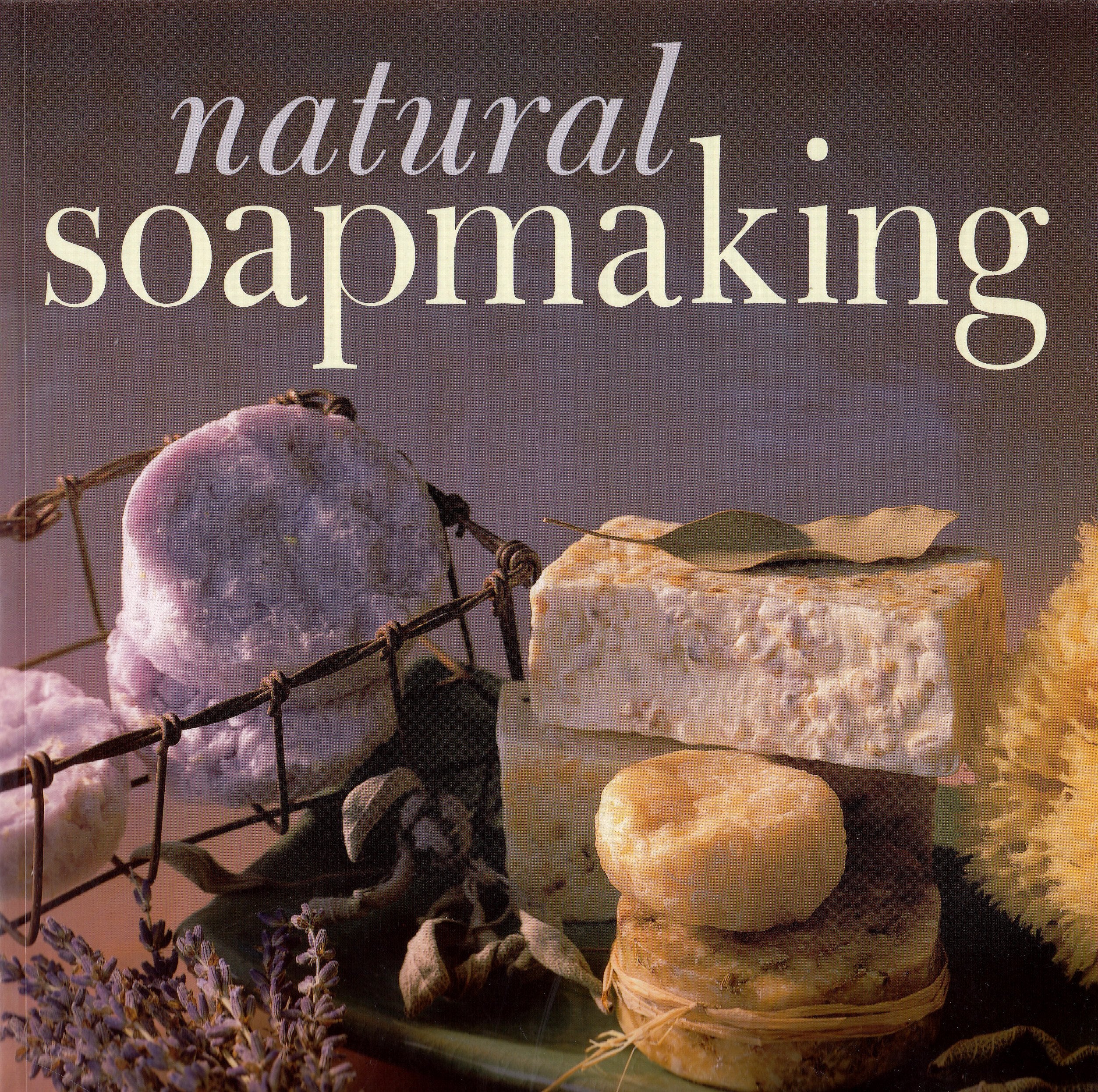 Natural Soapmaking,Used