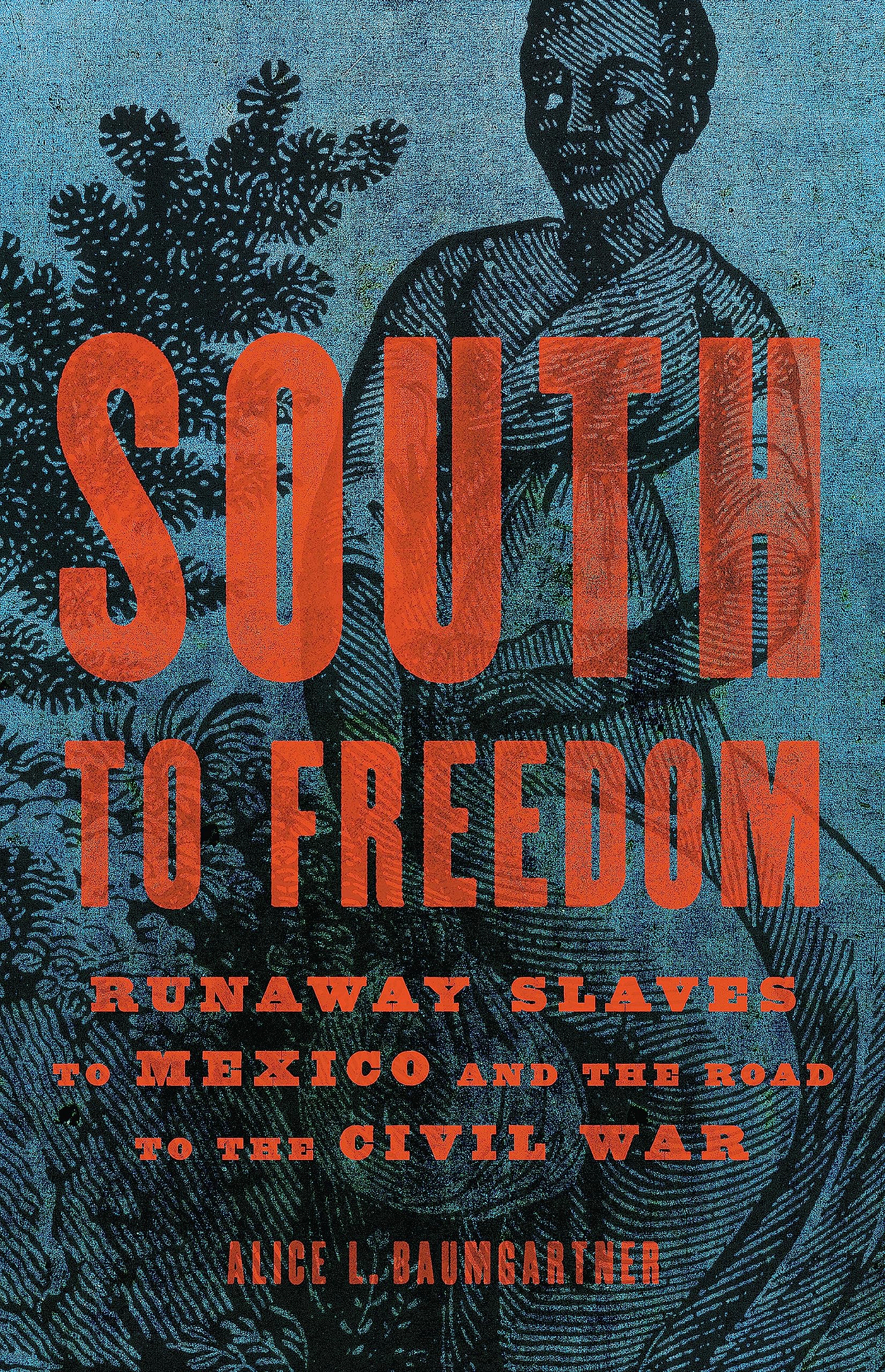 South to Freedom: Runaway Slaves to Mexico and the Road to the Civil War,Used