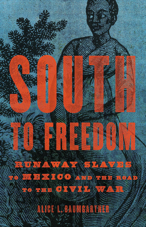 South to Freedom: Runaway Slaves to Mexico and the Road to the Civil War,Used