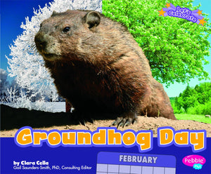 Groundhog Day (Let's Celebrate),Used