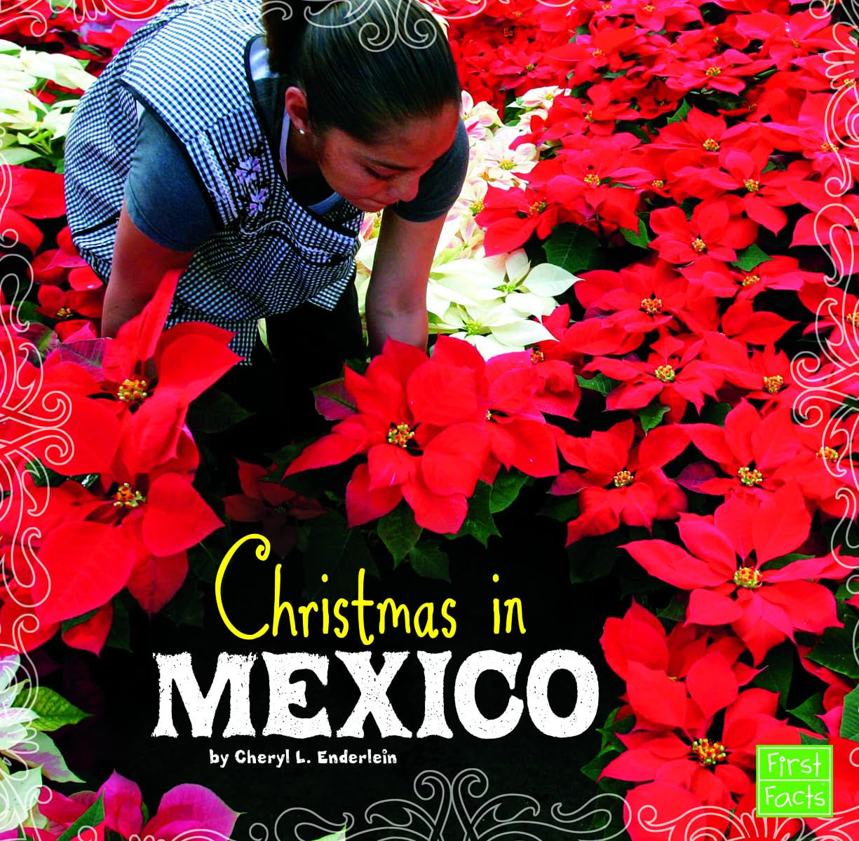 Christmas in Mexico (First Facts: Christmas Around the World),Used