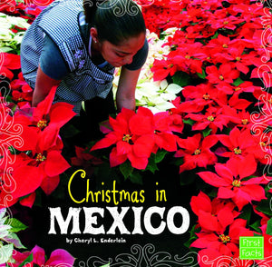 Christmas in Mexico (First Facts: Christmas Around the World),Used