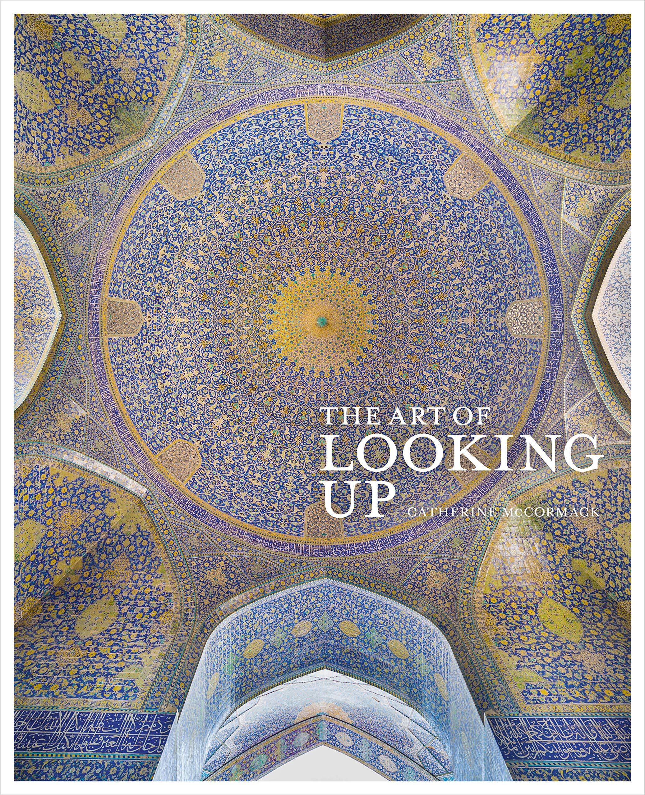 The Art of Looking Up,Used