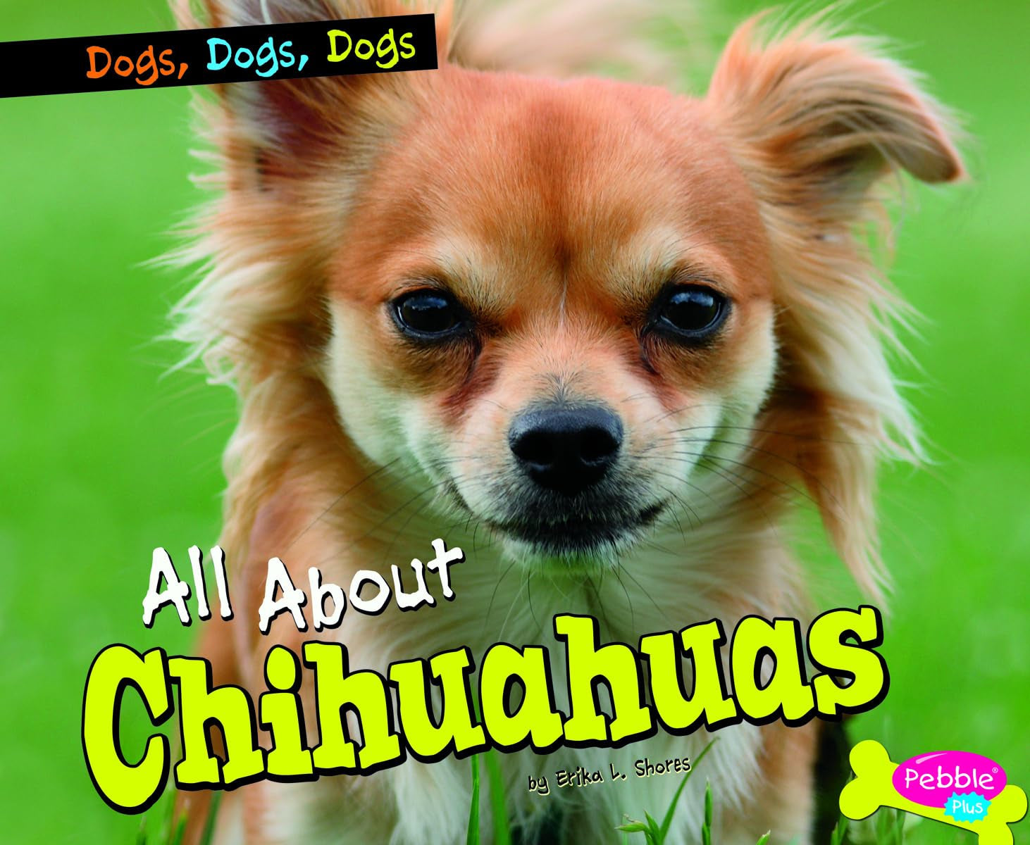 All About Chihuahuas (Dogs, Dogs, Dogs),Used